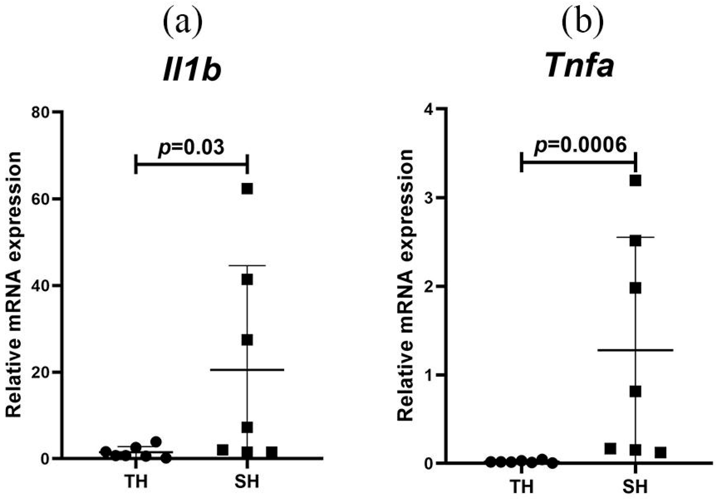 Biomedicines 13 03022 g003 Biomedicines 13 03022 g003