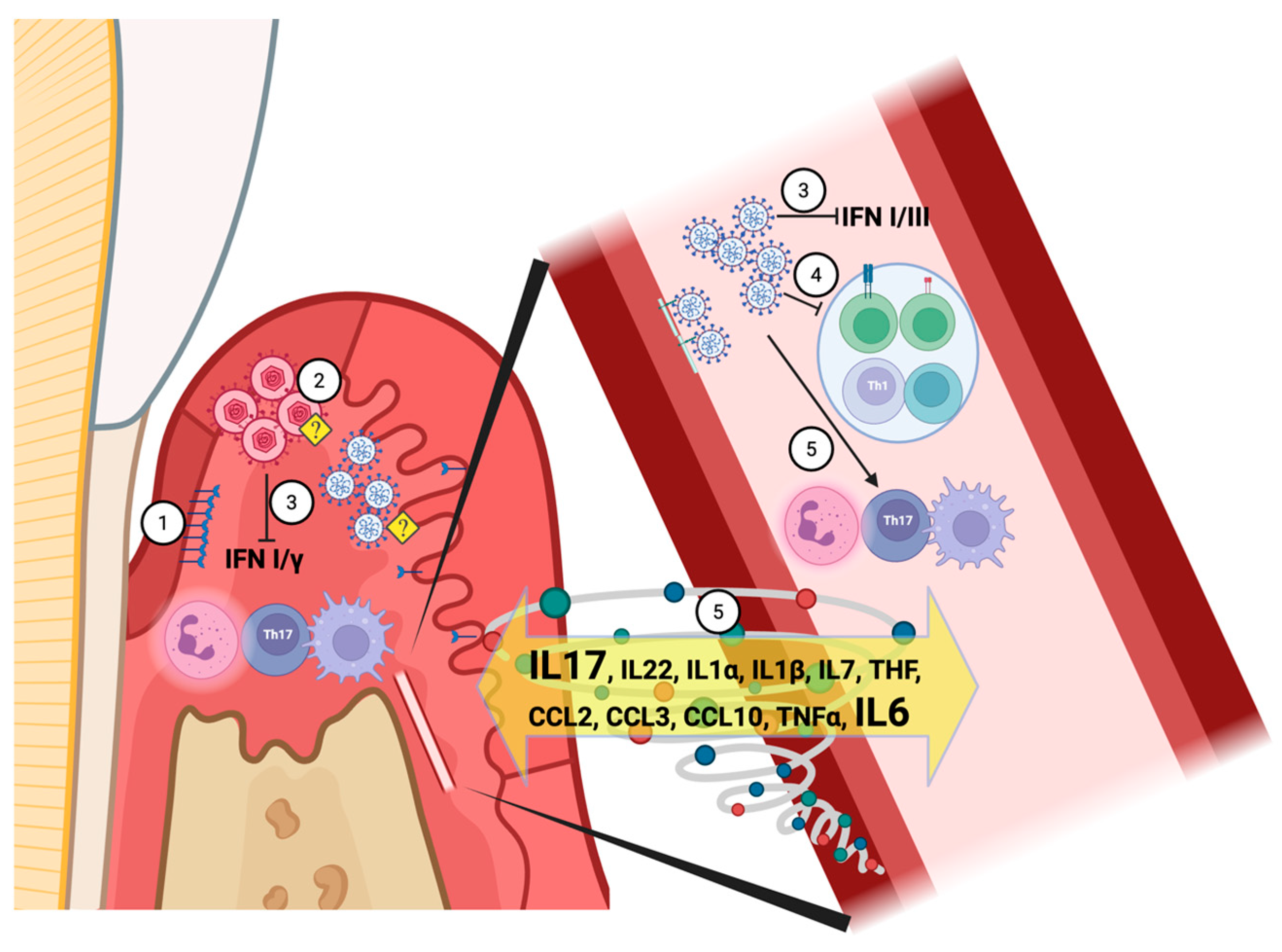 Biomedicines 13 03023 g001 Biomedicines 13 03023 g001