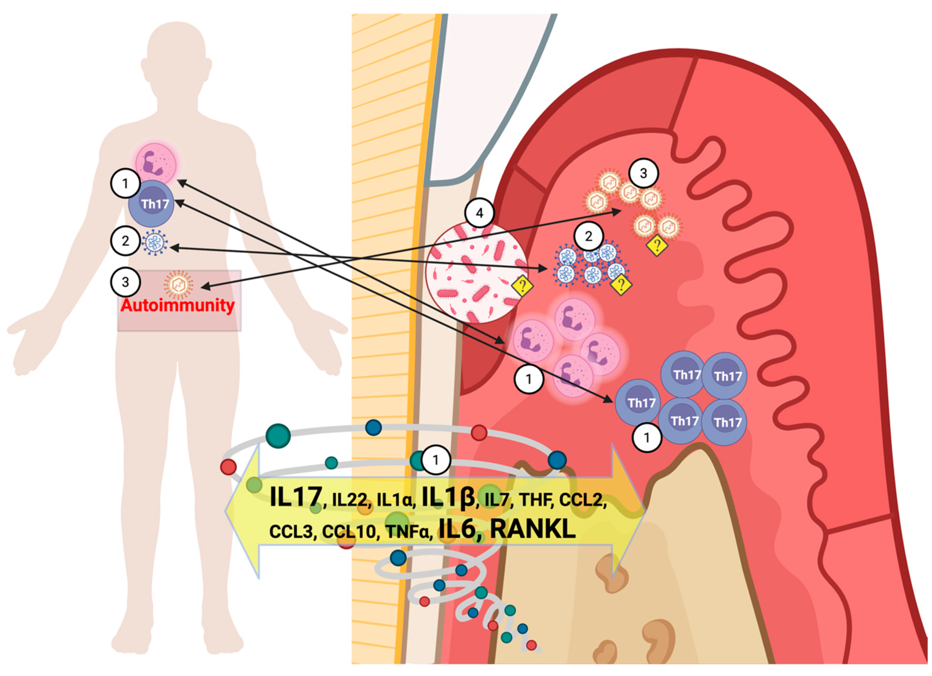 Biomedicines 13 03023 g002 Biomedicines 13 03023 g002