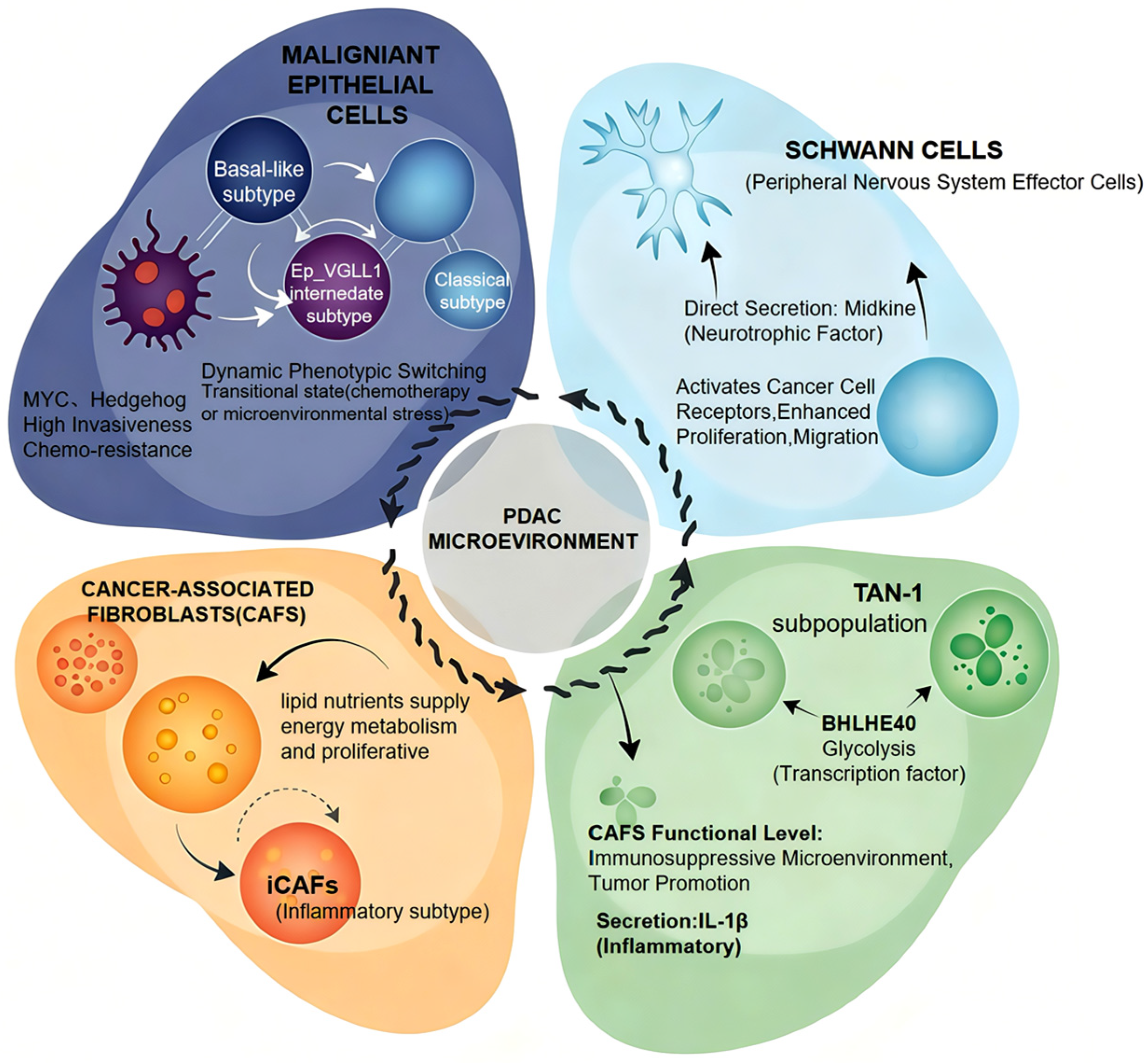 Biomedicines 13 03024 g001 Biomedicines 13 03024 g001