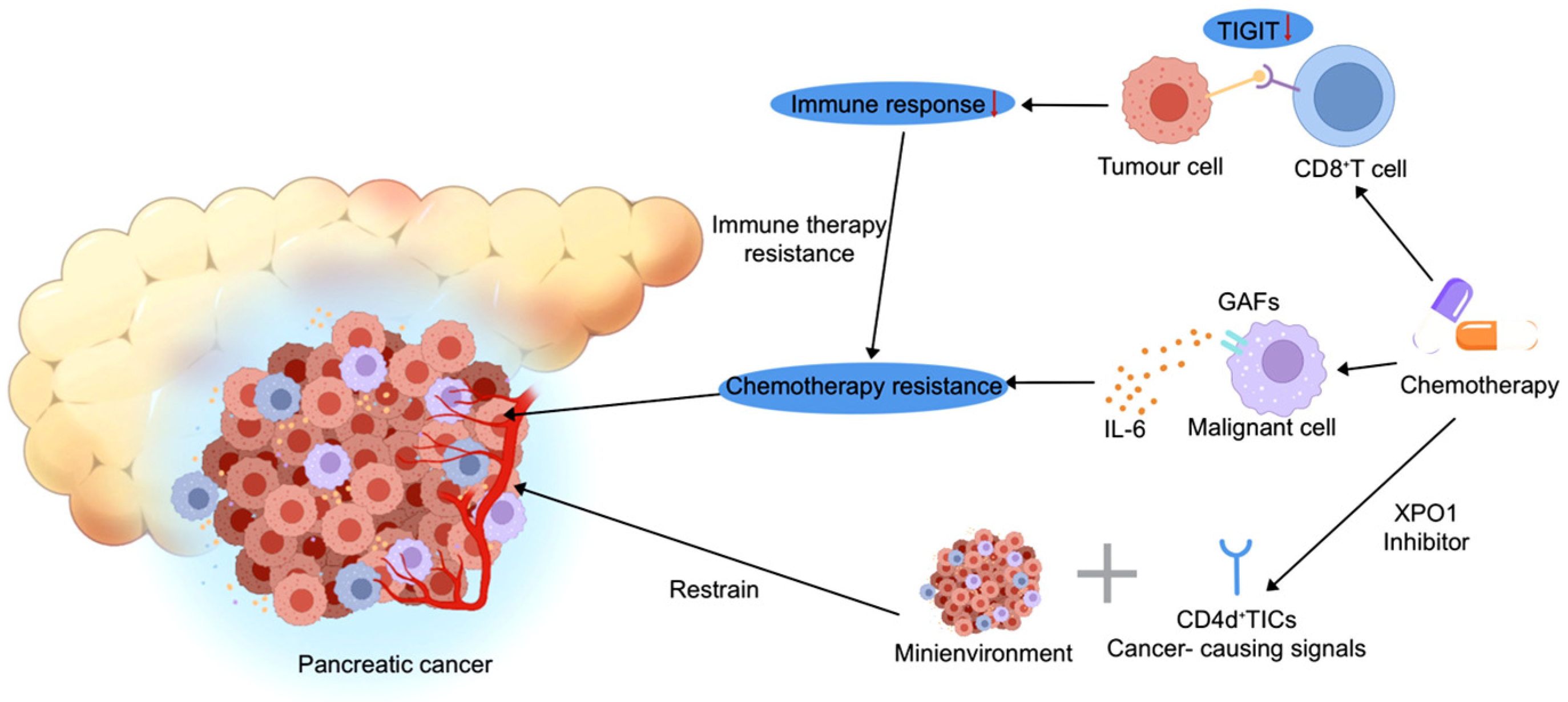 Biomedicines 13 03024 g002 Biomedicines 13 03024 g002