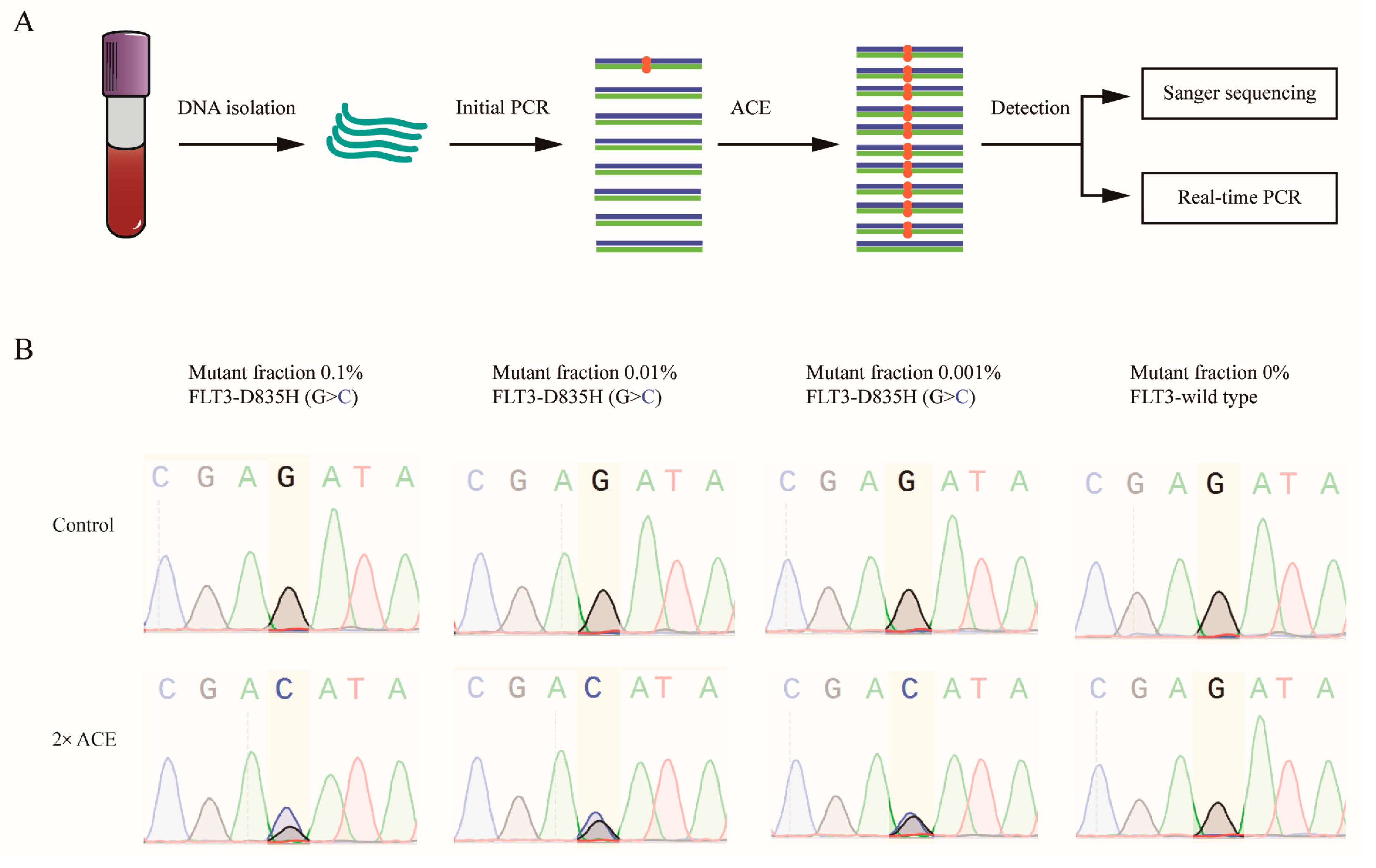 Biomedicines 13 03026 g003 Biomedicines 13 03026 g003