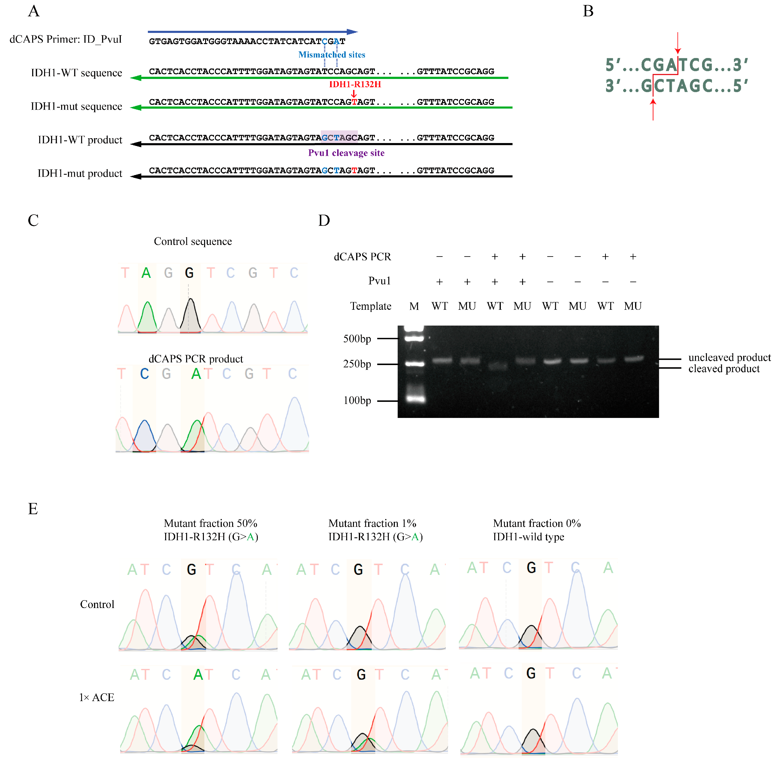 Biomedicines 13 03026 g005 Biomedicines 13 03026 g005