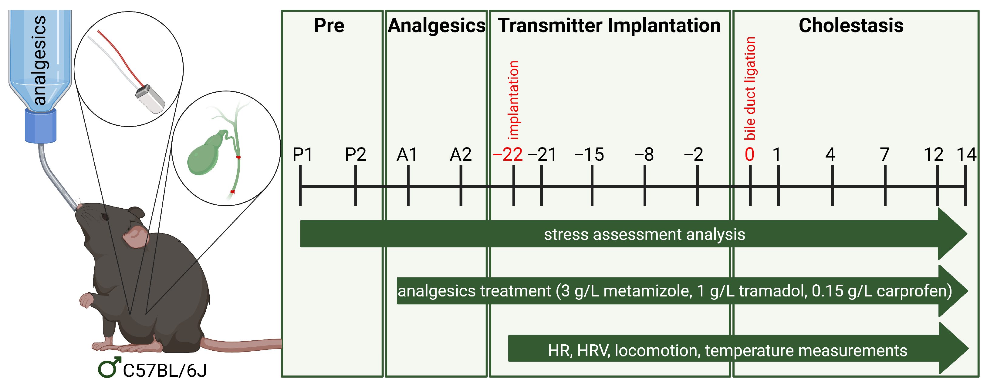 Biomedicines 13 03034 g001 Biomedicines 13 03034 g001