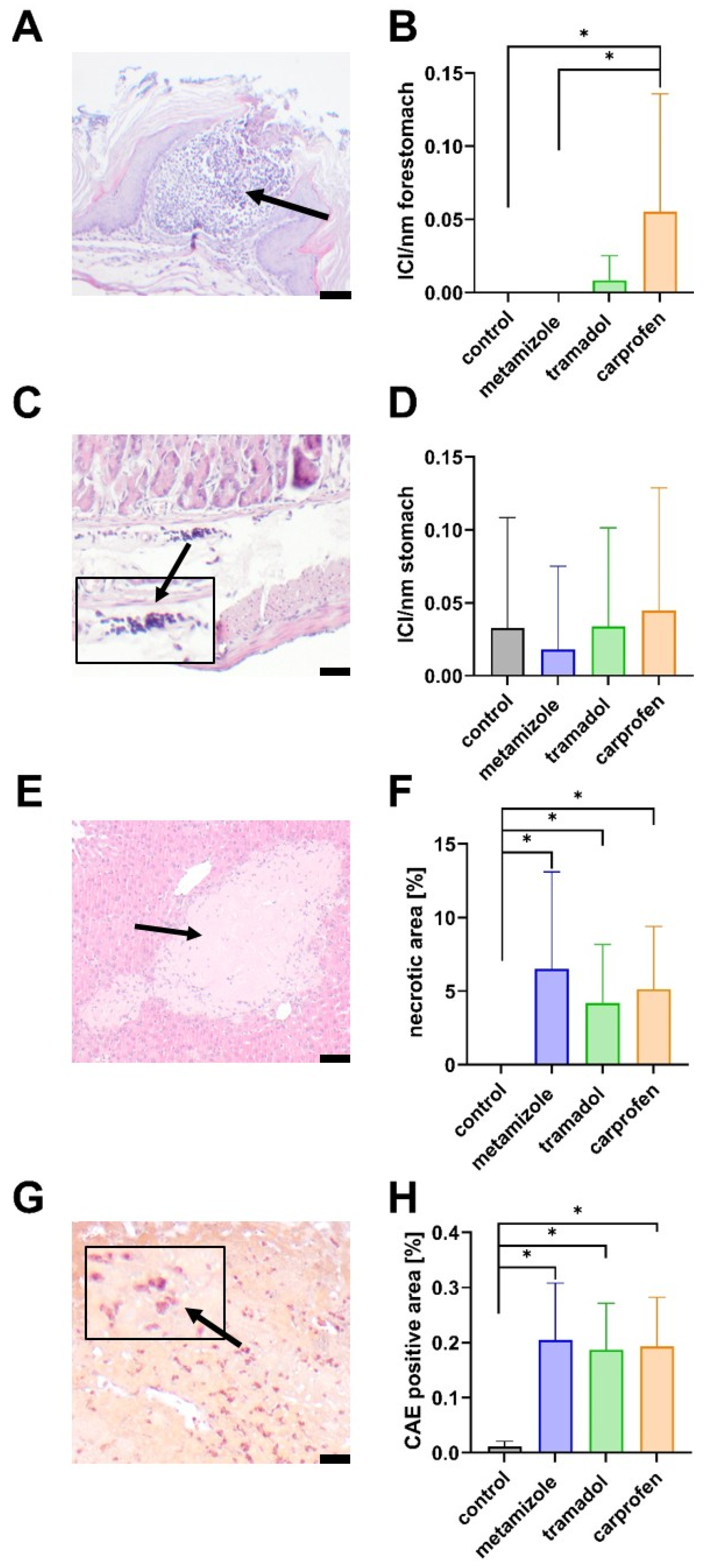 Biomedicines 13 03034 g008 Biomedicines 13 03034 g008