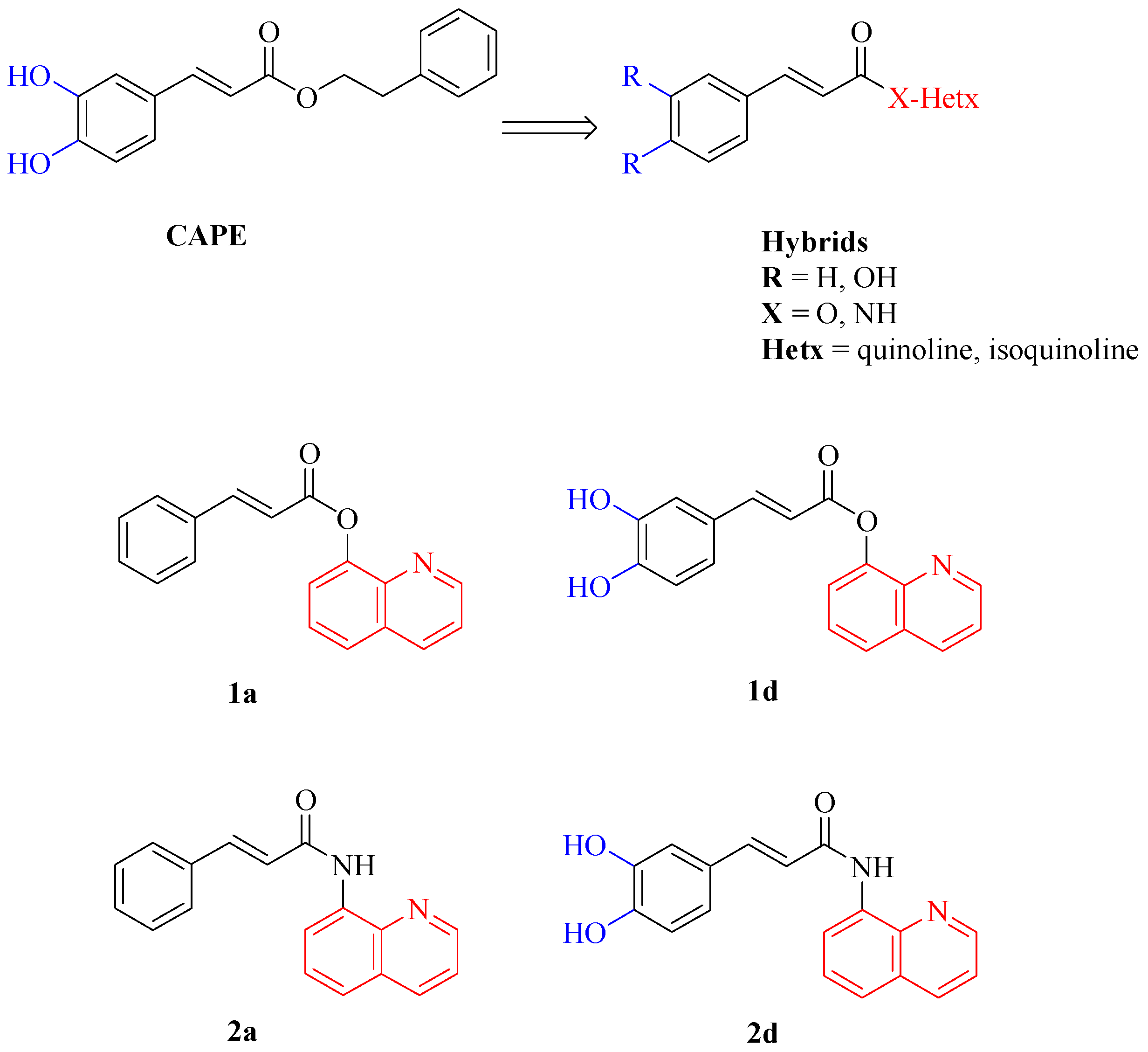 Biomedicines 13 03039 g001