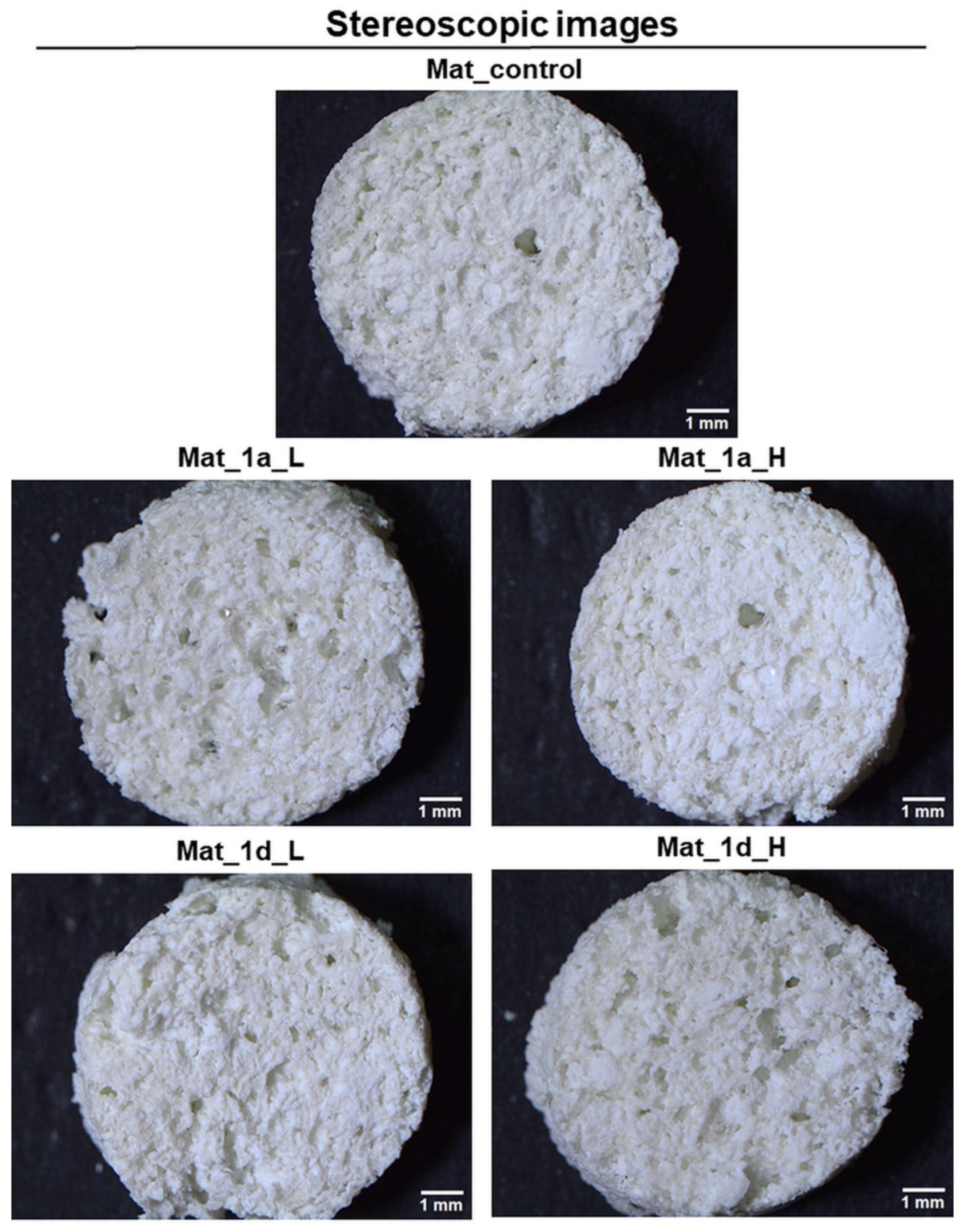 Biomedicines 13 03039 g007