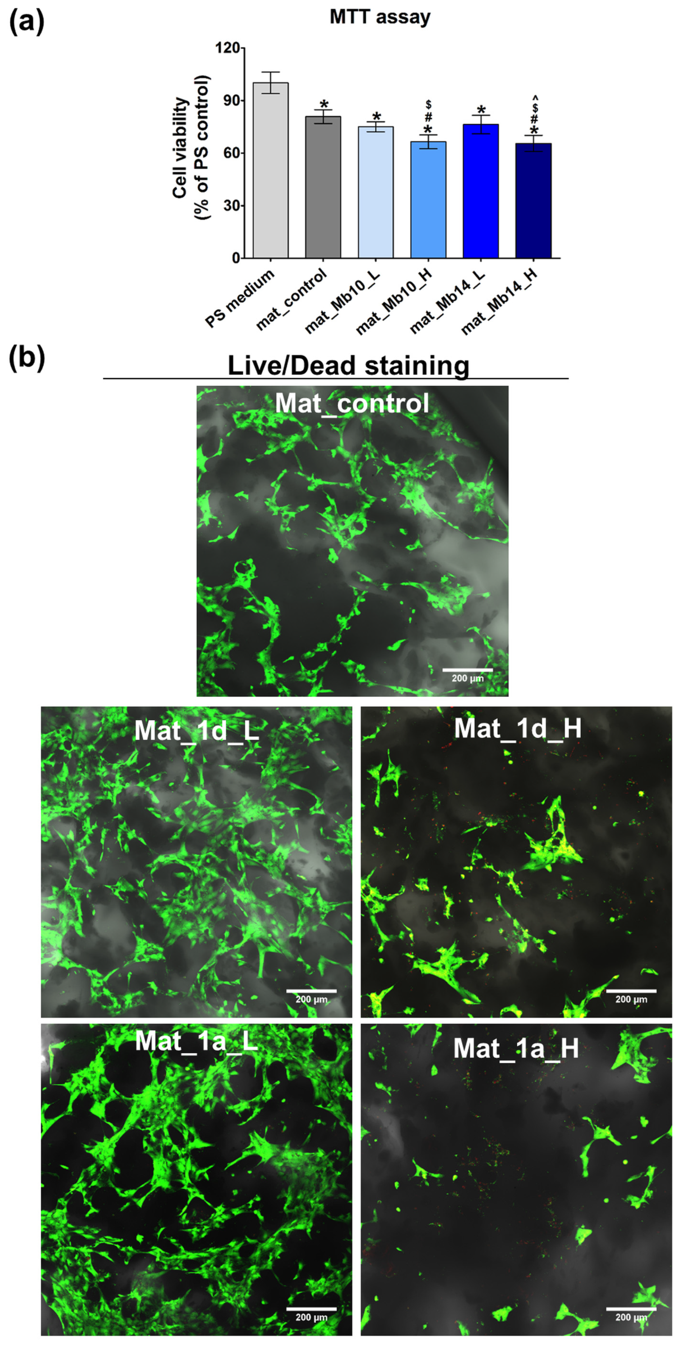 Biomedicines 13 03039 g008