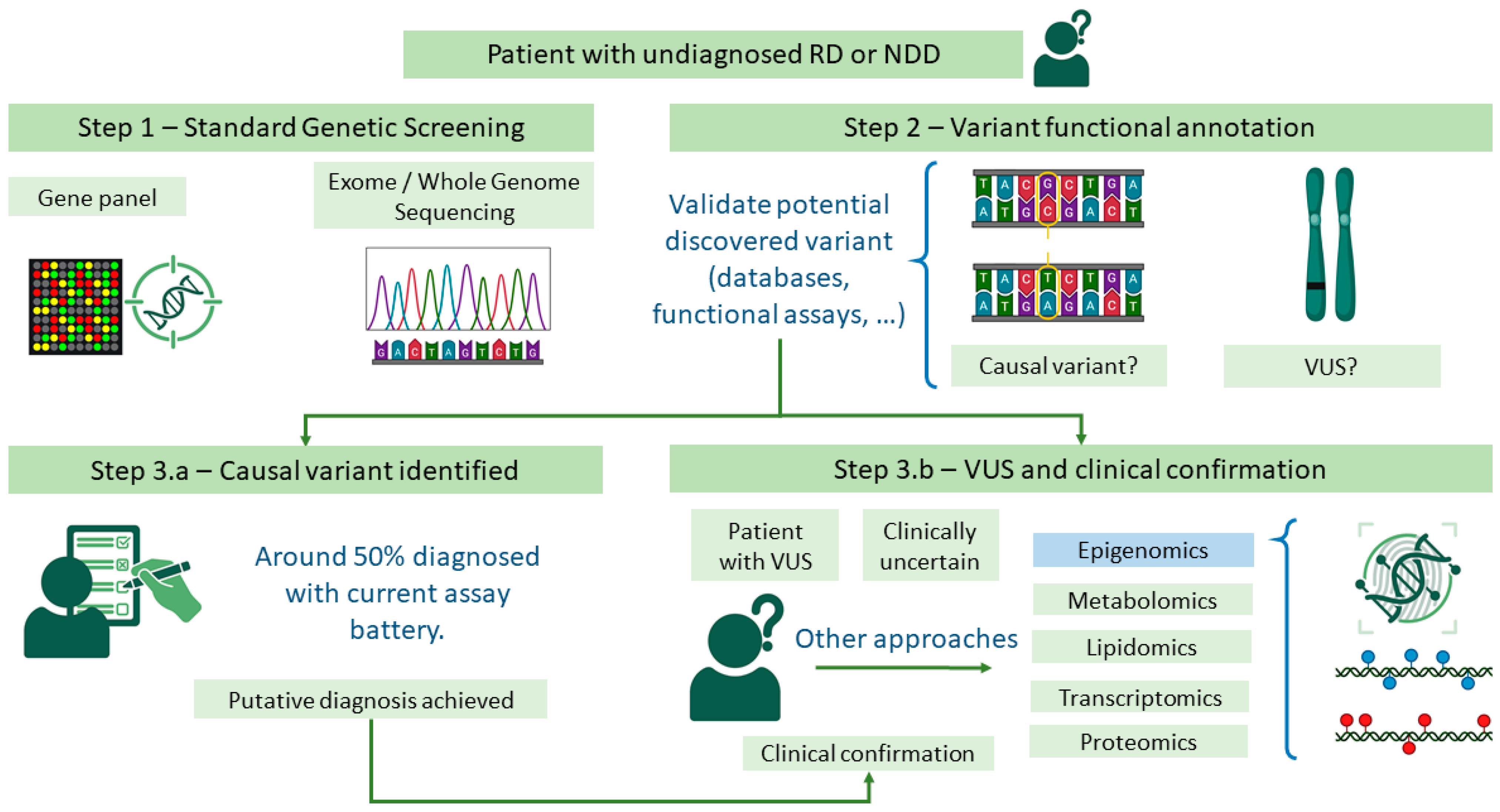 Biomedicines 13 03043 g001