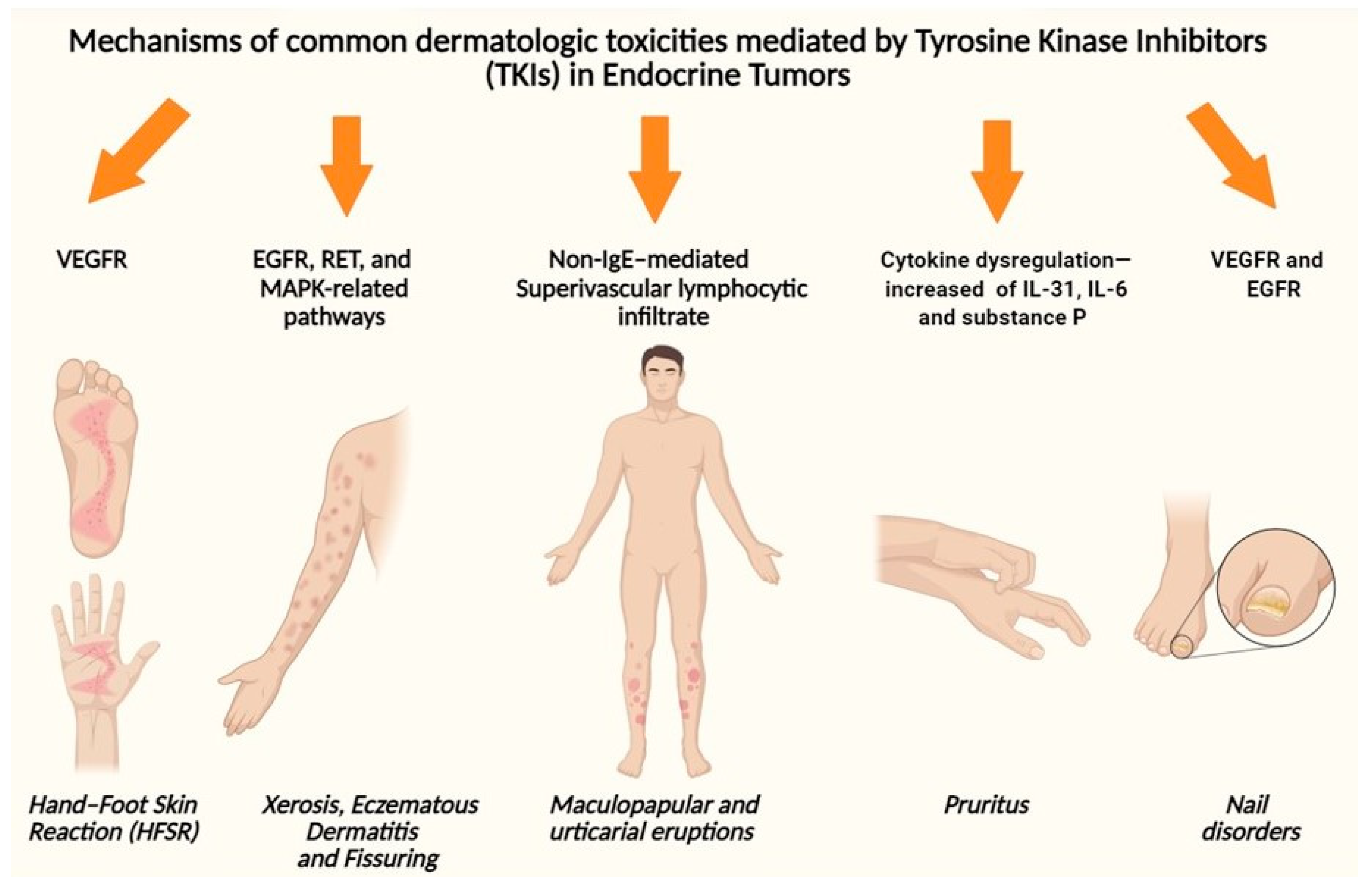 Biomedicines 13 03044 g002 Biomedicines 13 03044 g002