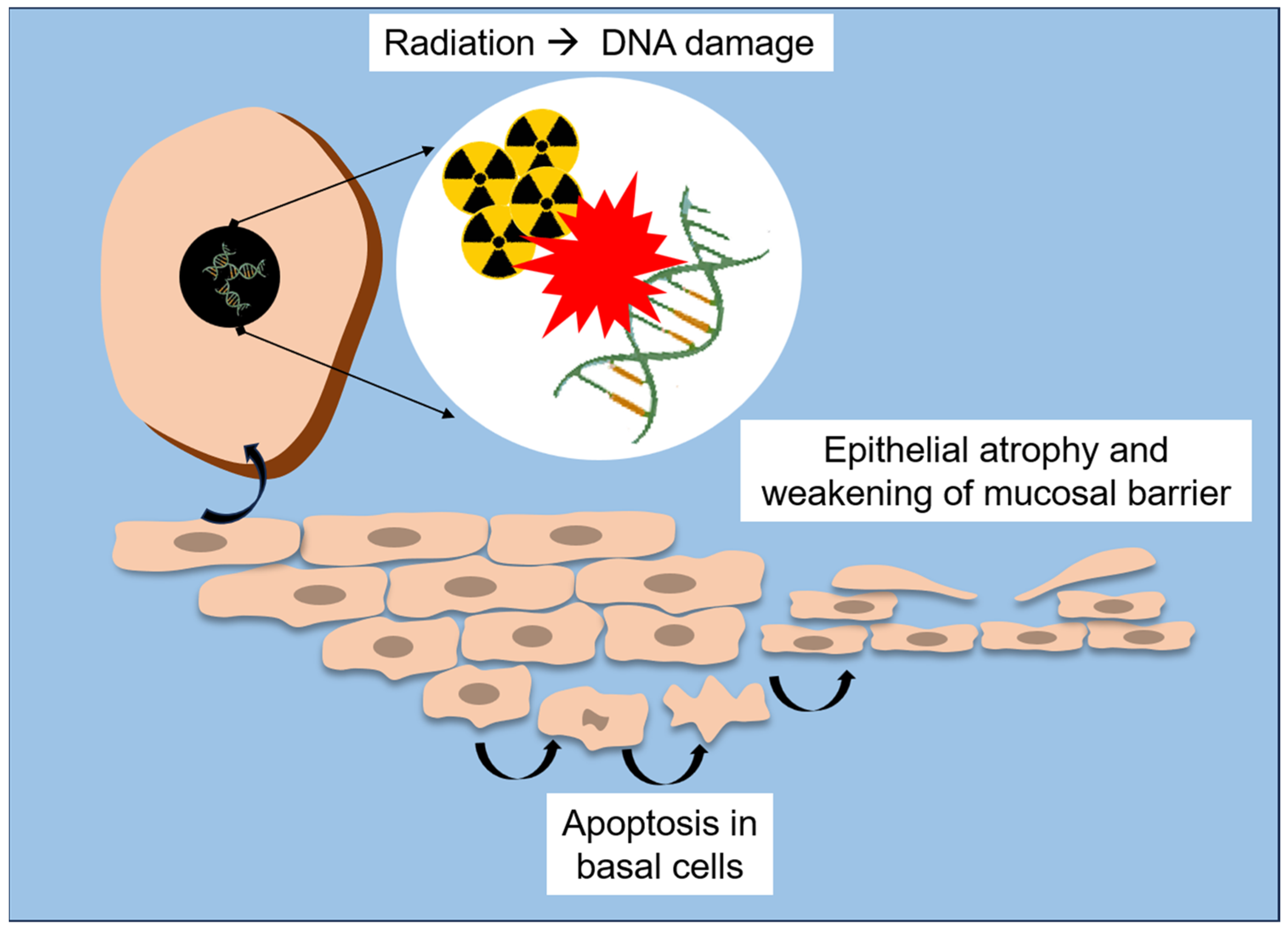 Biomedicines 13 03046 g002 Biomedicines 13 03046 g002