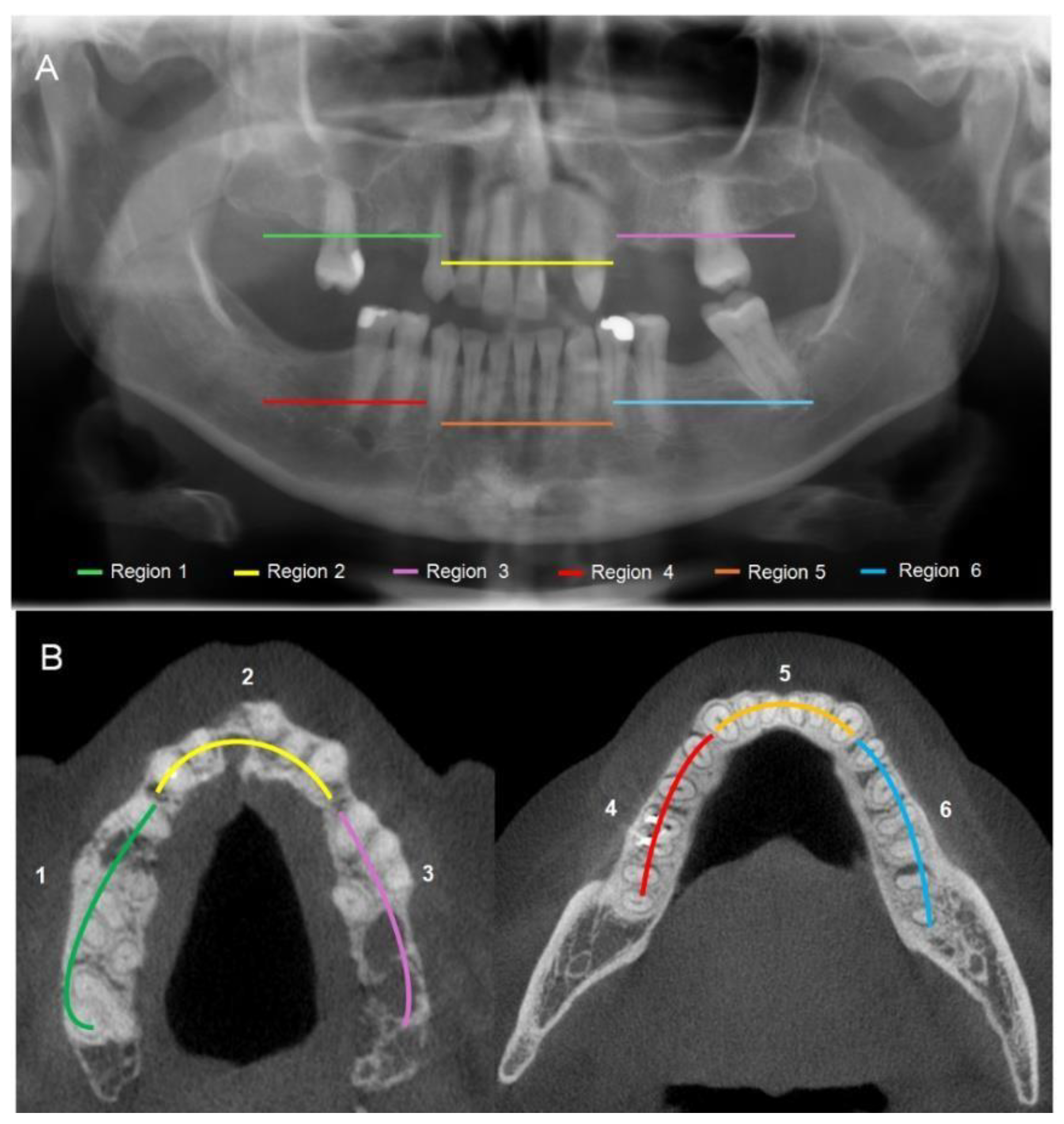 Biomedicines 13 03054 g002 Biomedicines 13 03054 g002