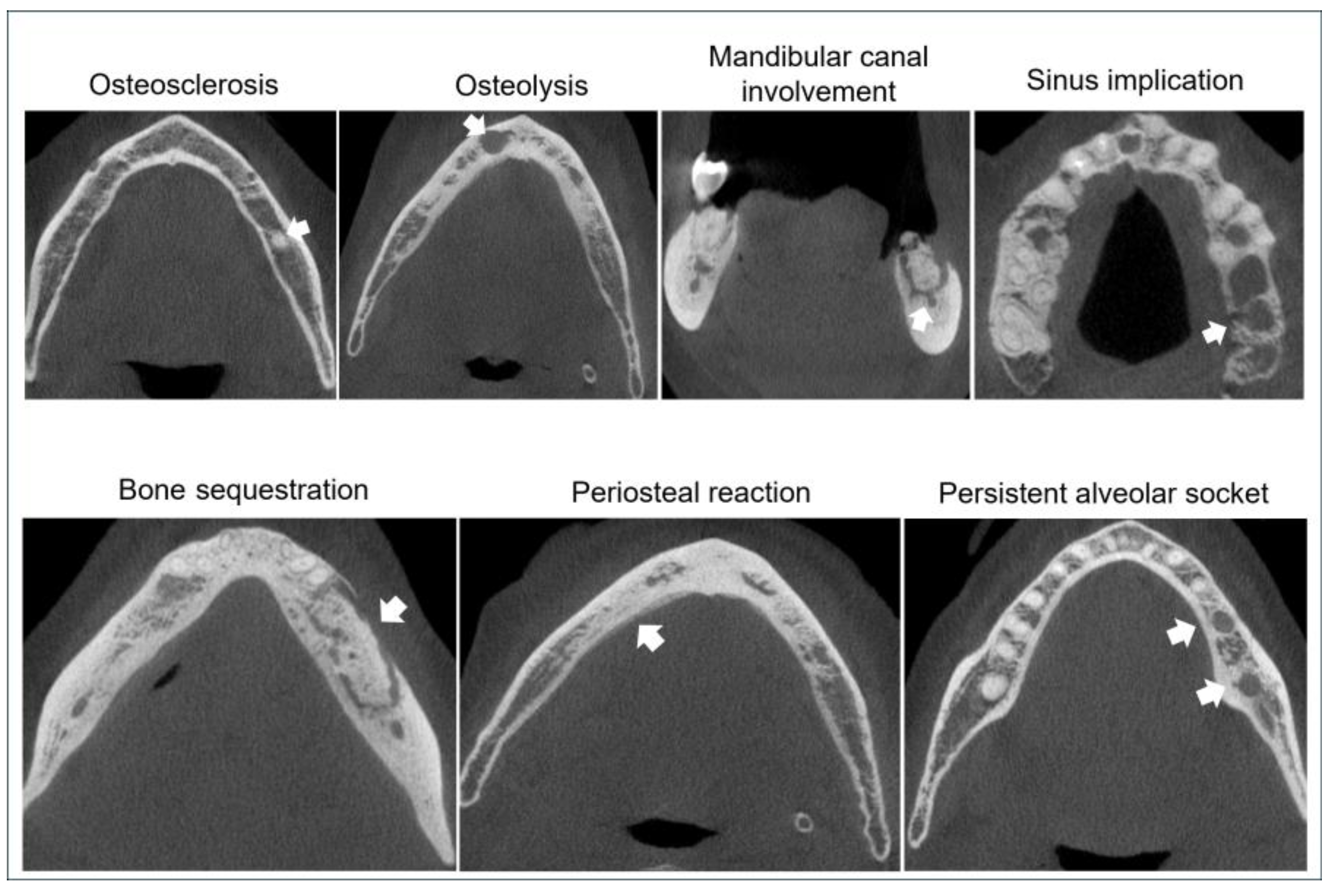 Biomedicines 13 03054 g009 Biomedicines 13 03054 g009