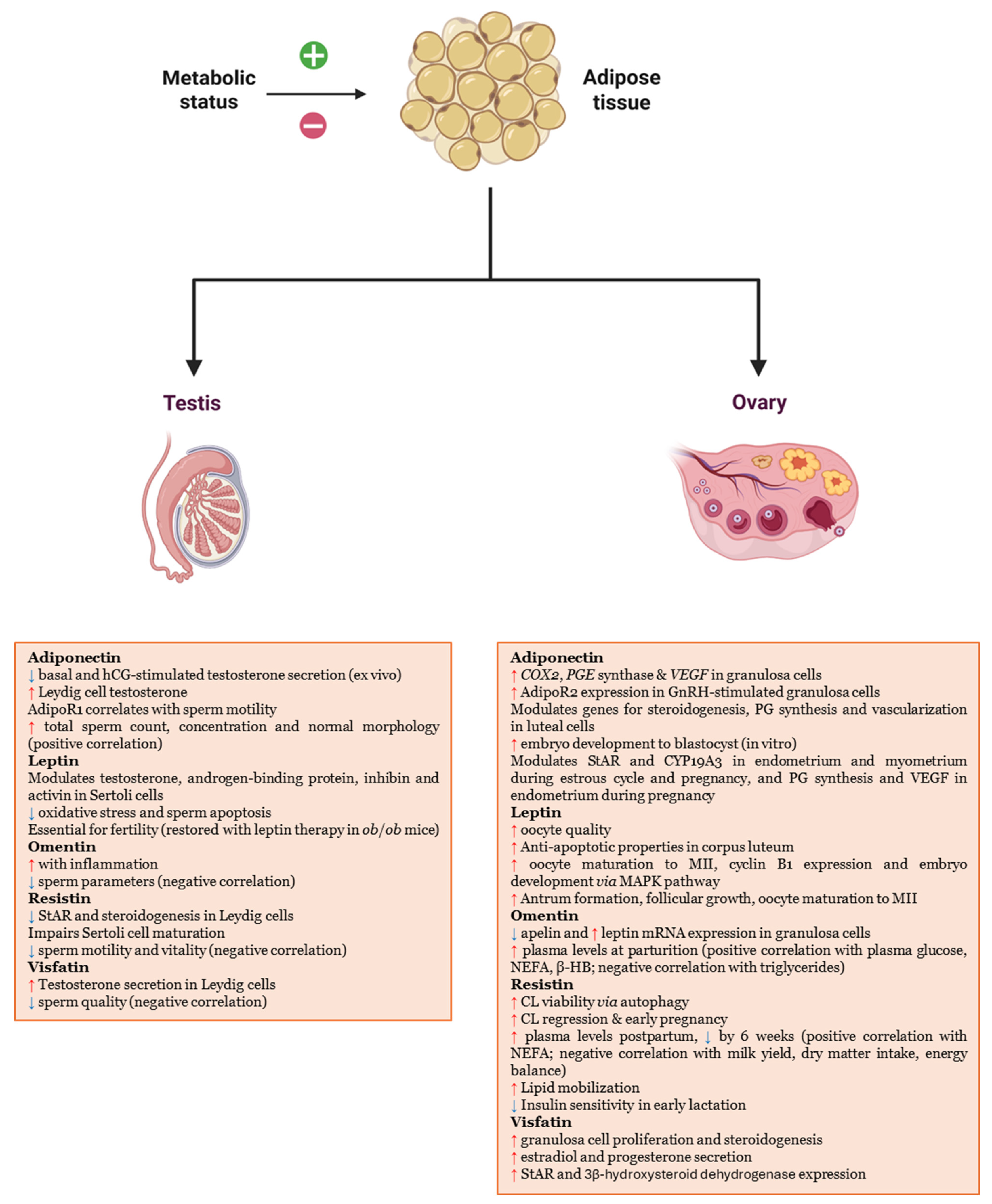 Biomedicines 13 03067 g001