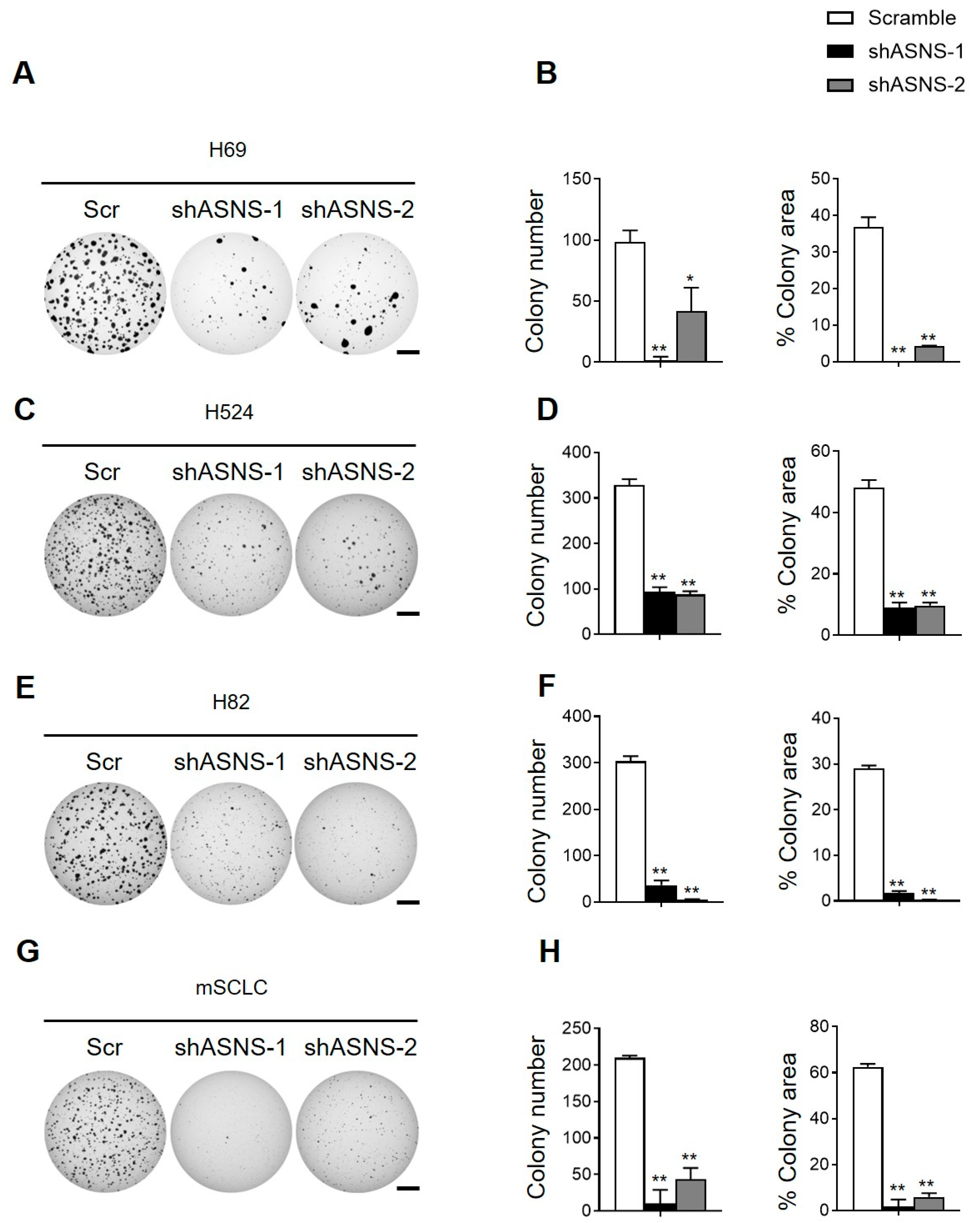 Biomedicines 13 03087 g004 Biomedicines 13 03087 g004