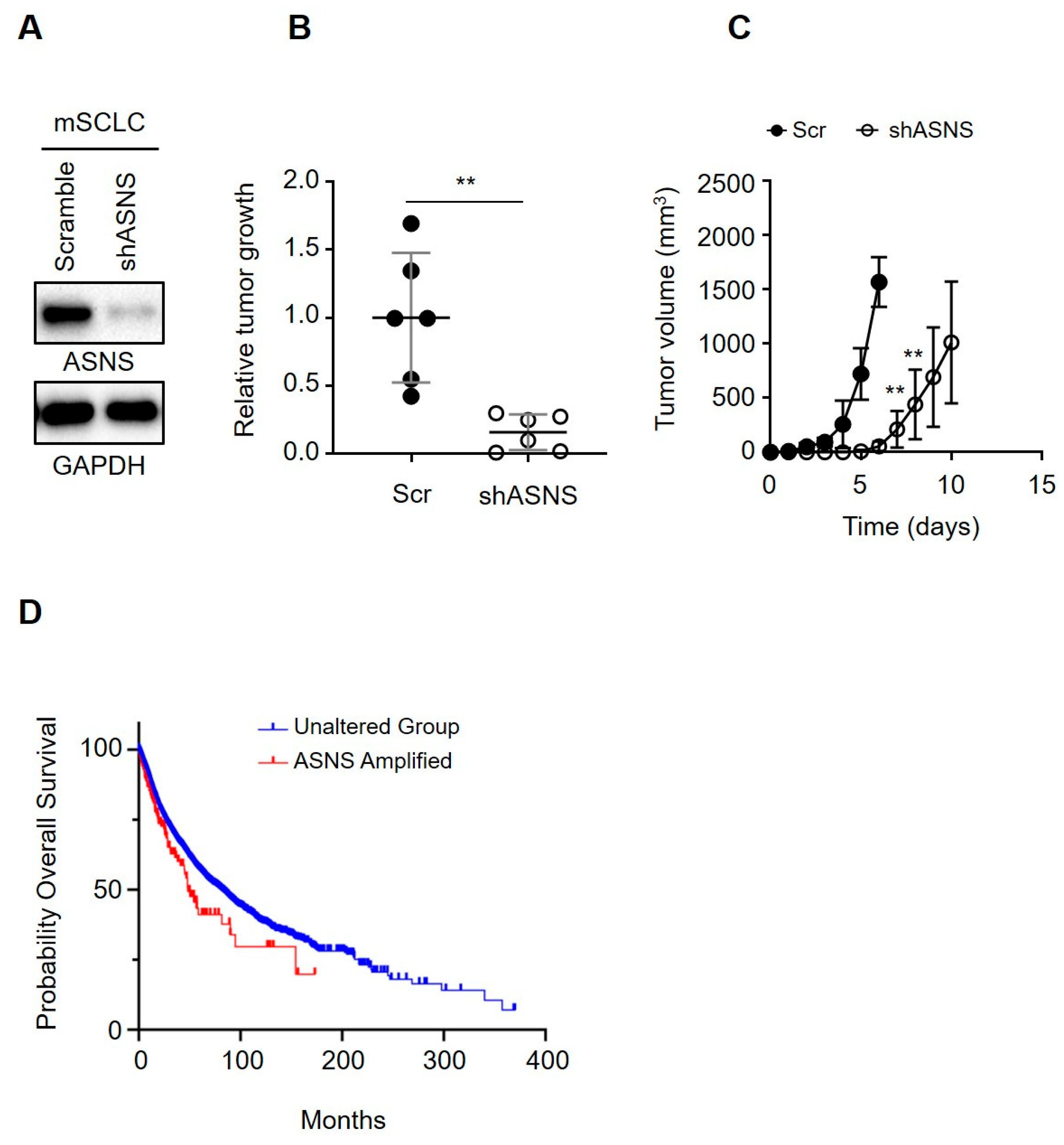 Biomedicines 13 03087 g006 Biomedicines 13 03087 g006