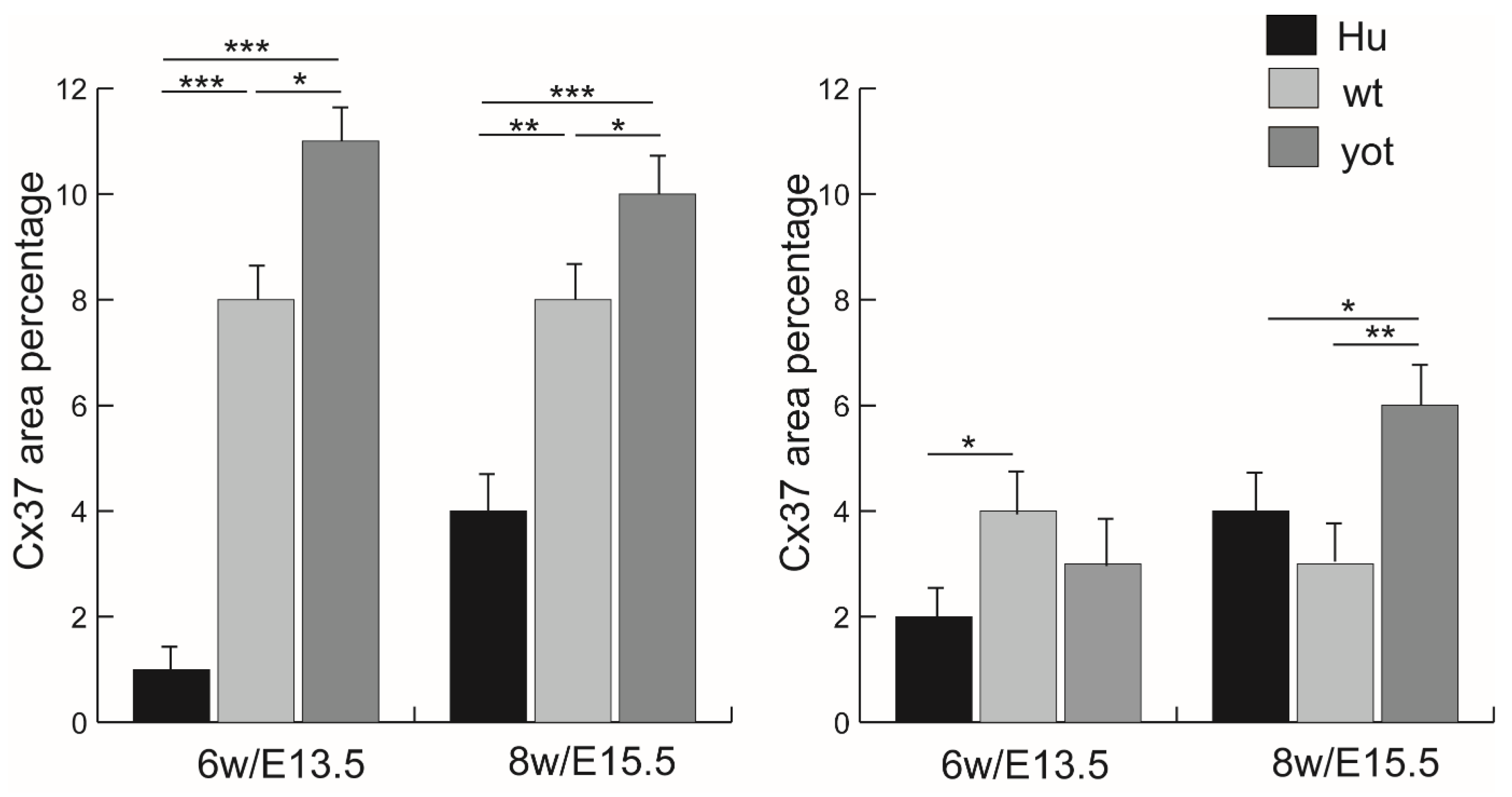 Biomedicines 13 03088 g003