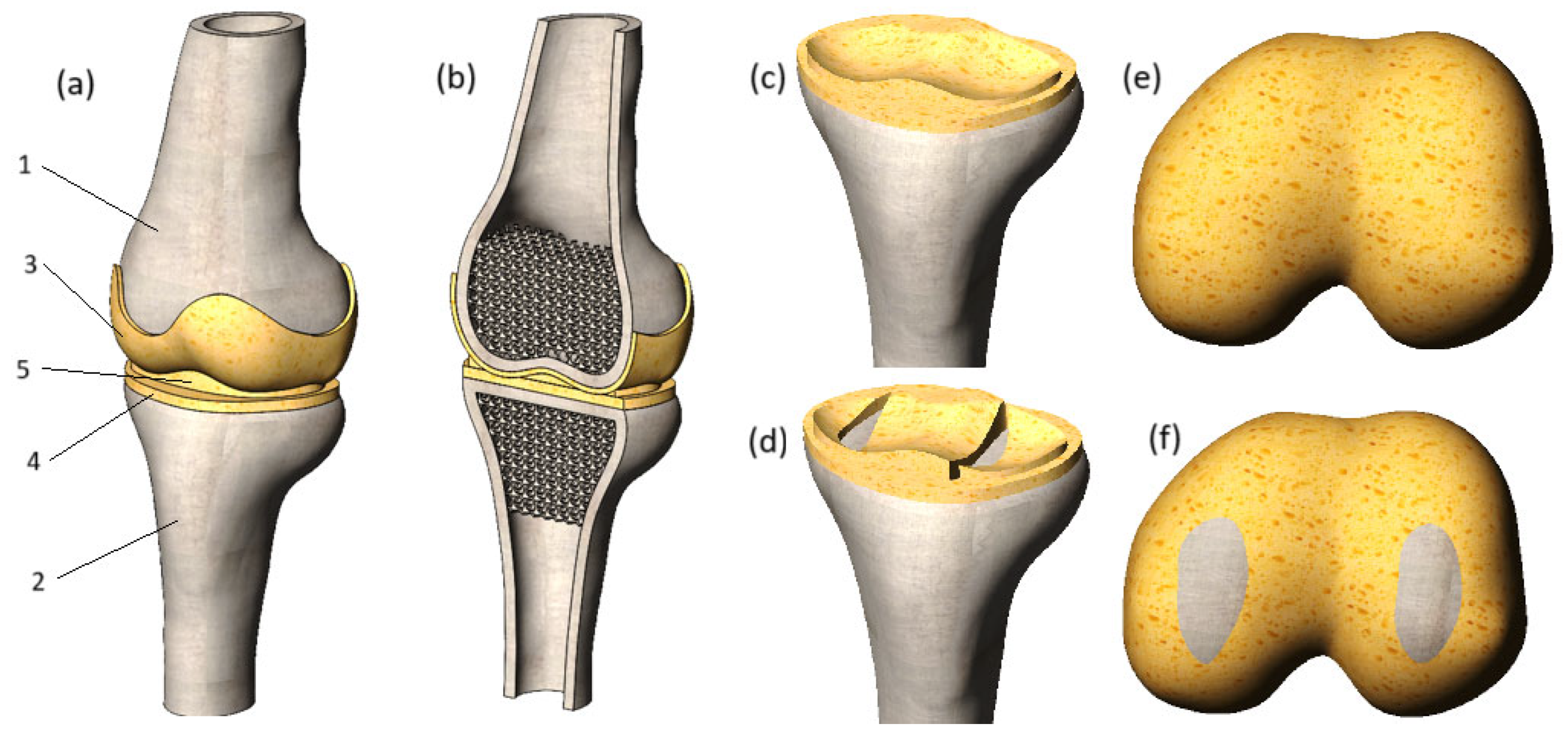 Biomedicines 13 03097 g002
