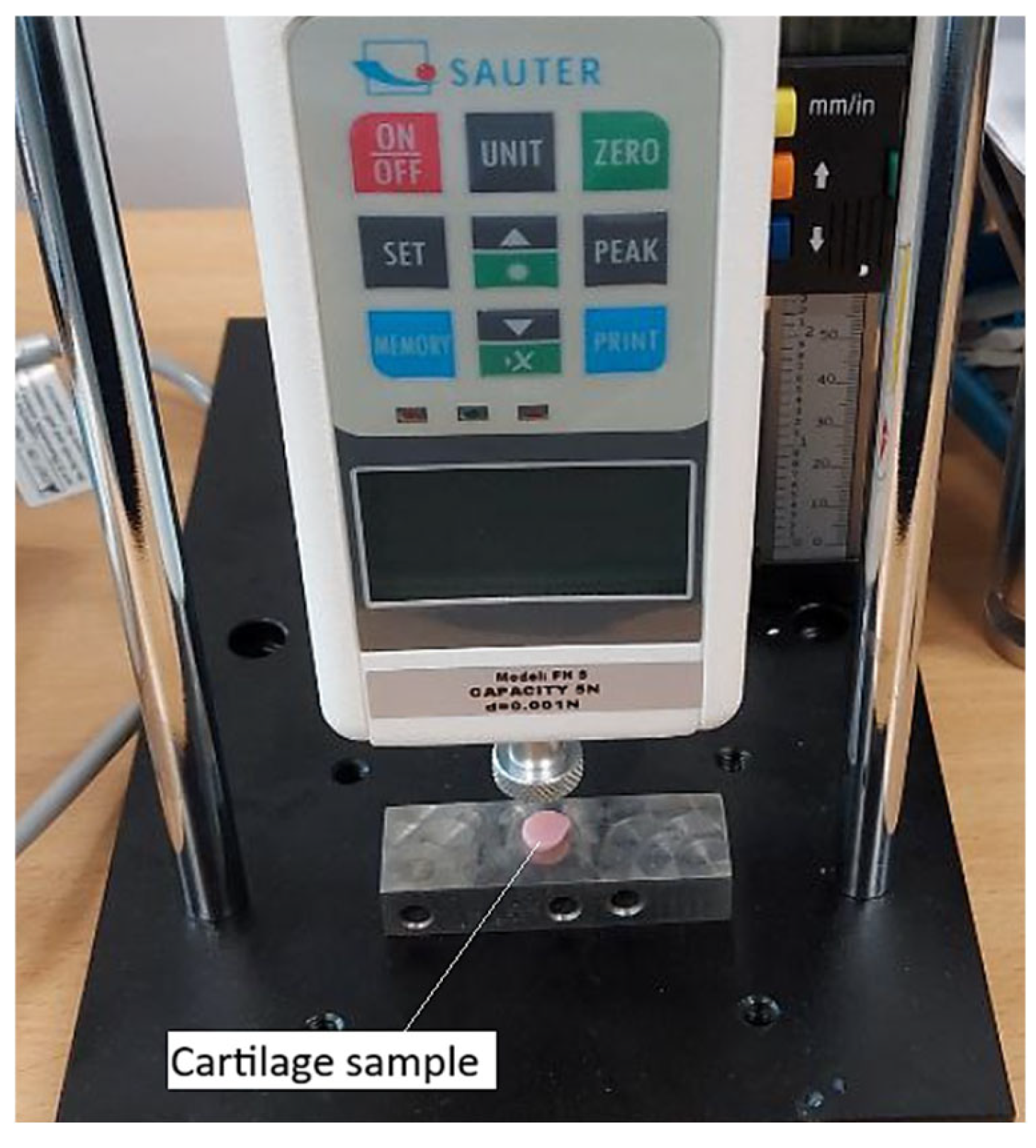 Biomedicines 13 03097 g004
