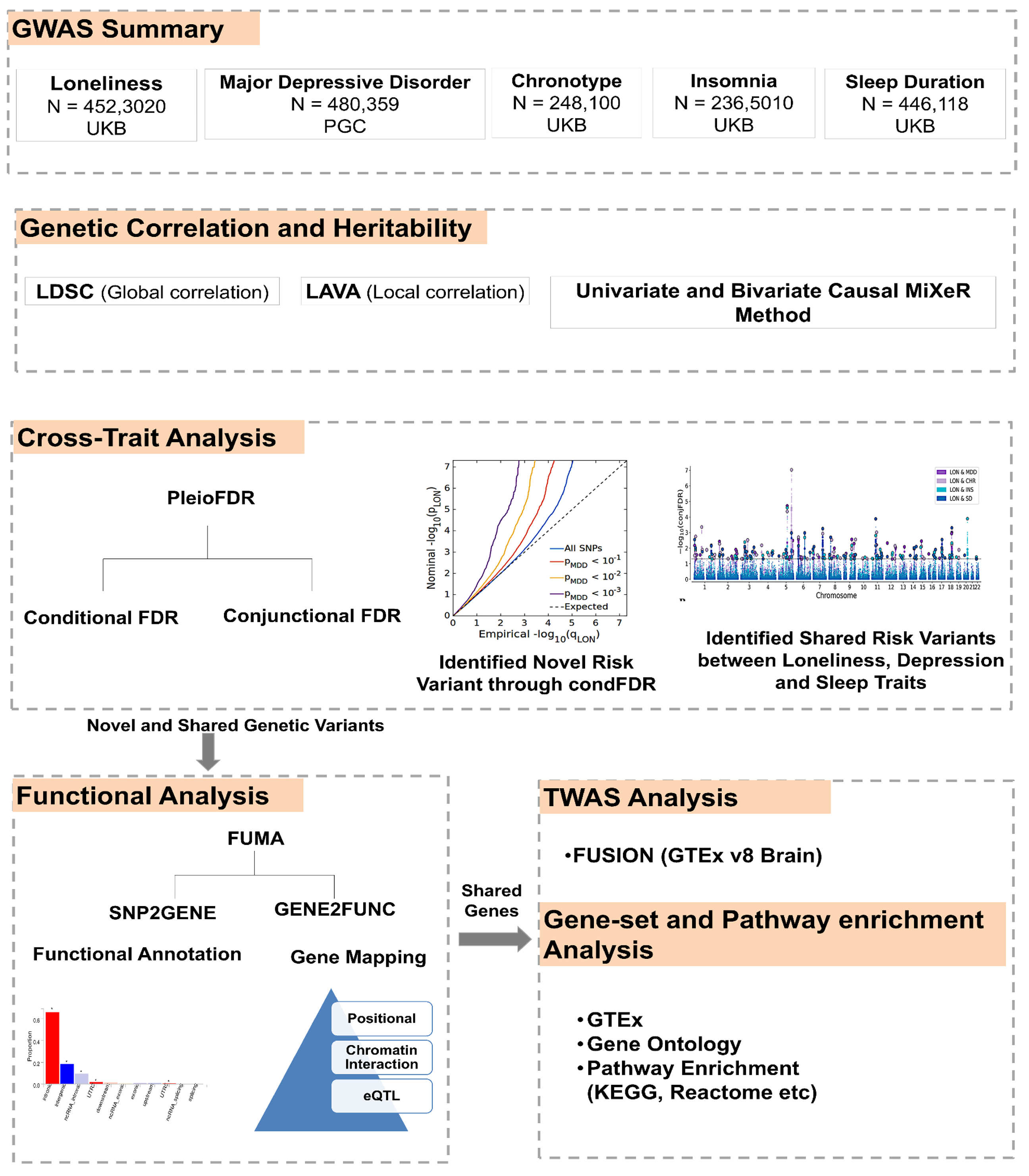 Biomedicines 13 03101 g001 Biomedicines 13 03101 g001