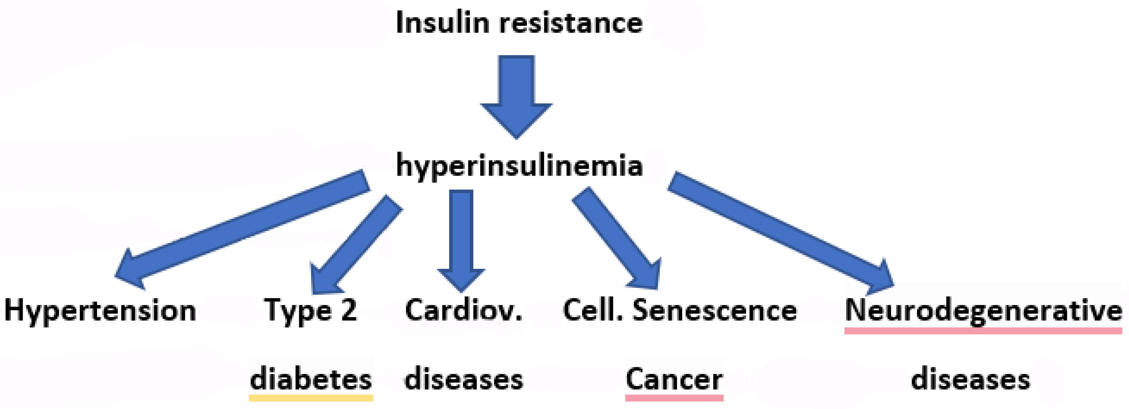 Biomedicines 13 03102 g001 Biomedicines 13 03102 g001