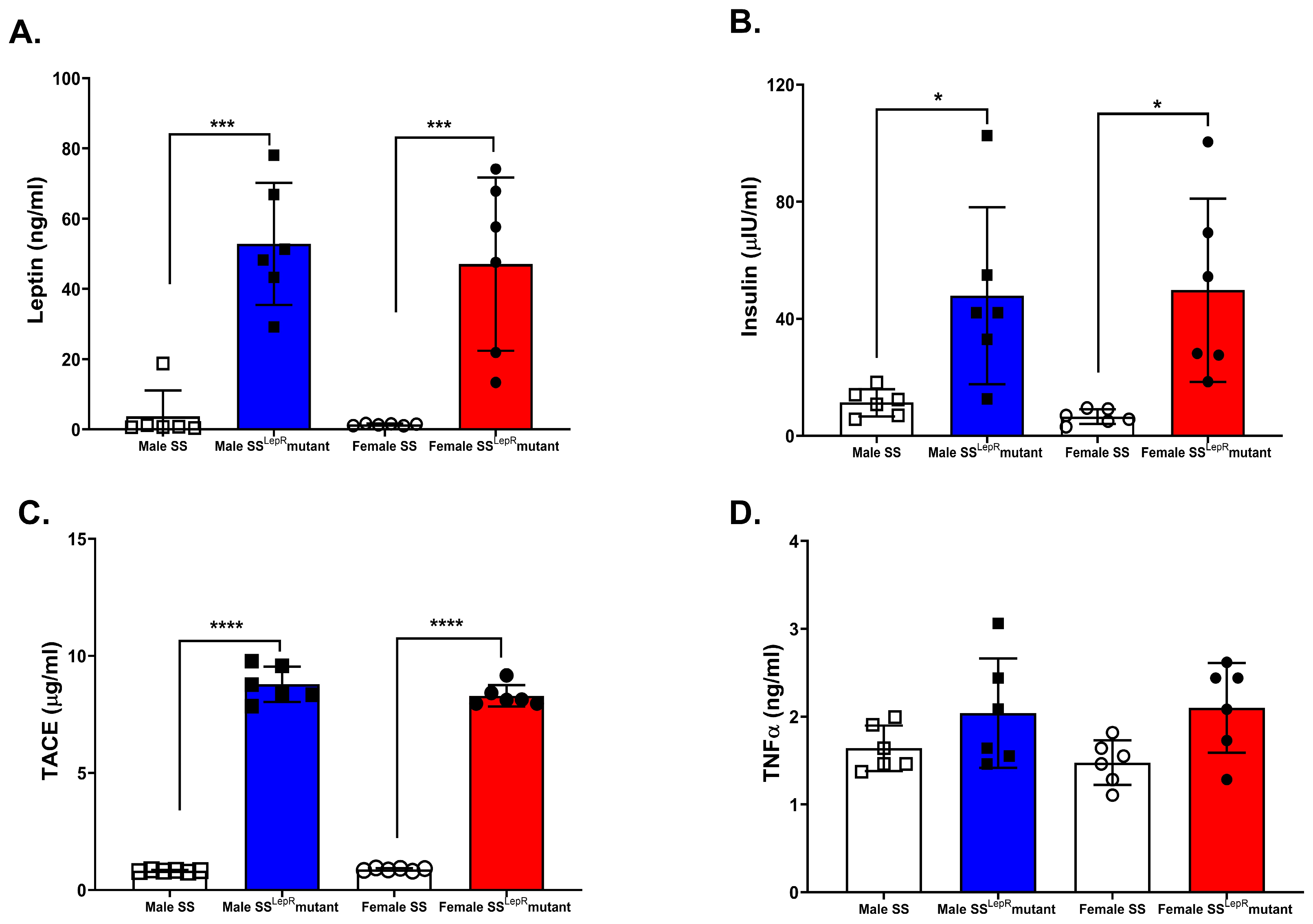 Biomedicines 13 03105 g002 Biomedicines 13 03105 g002
