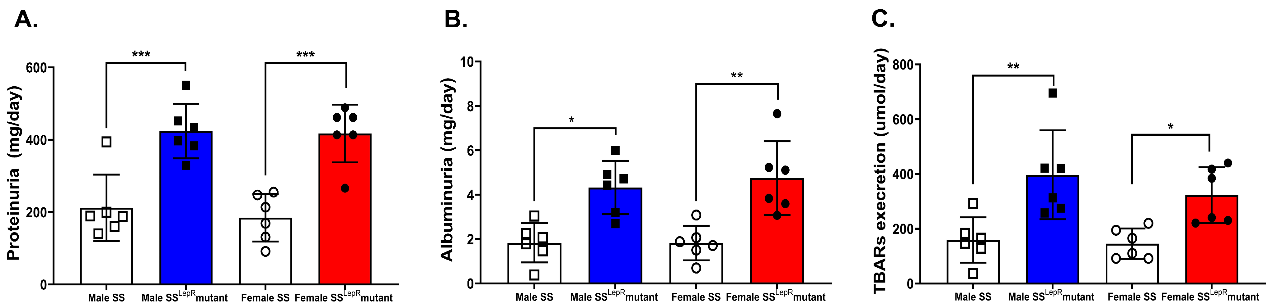 Biomedicines 13 03105 g003 Biomedicines 13 03105 g003