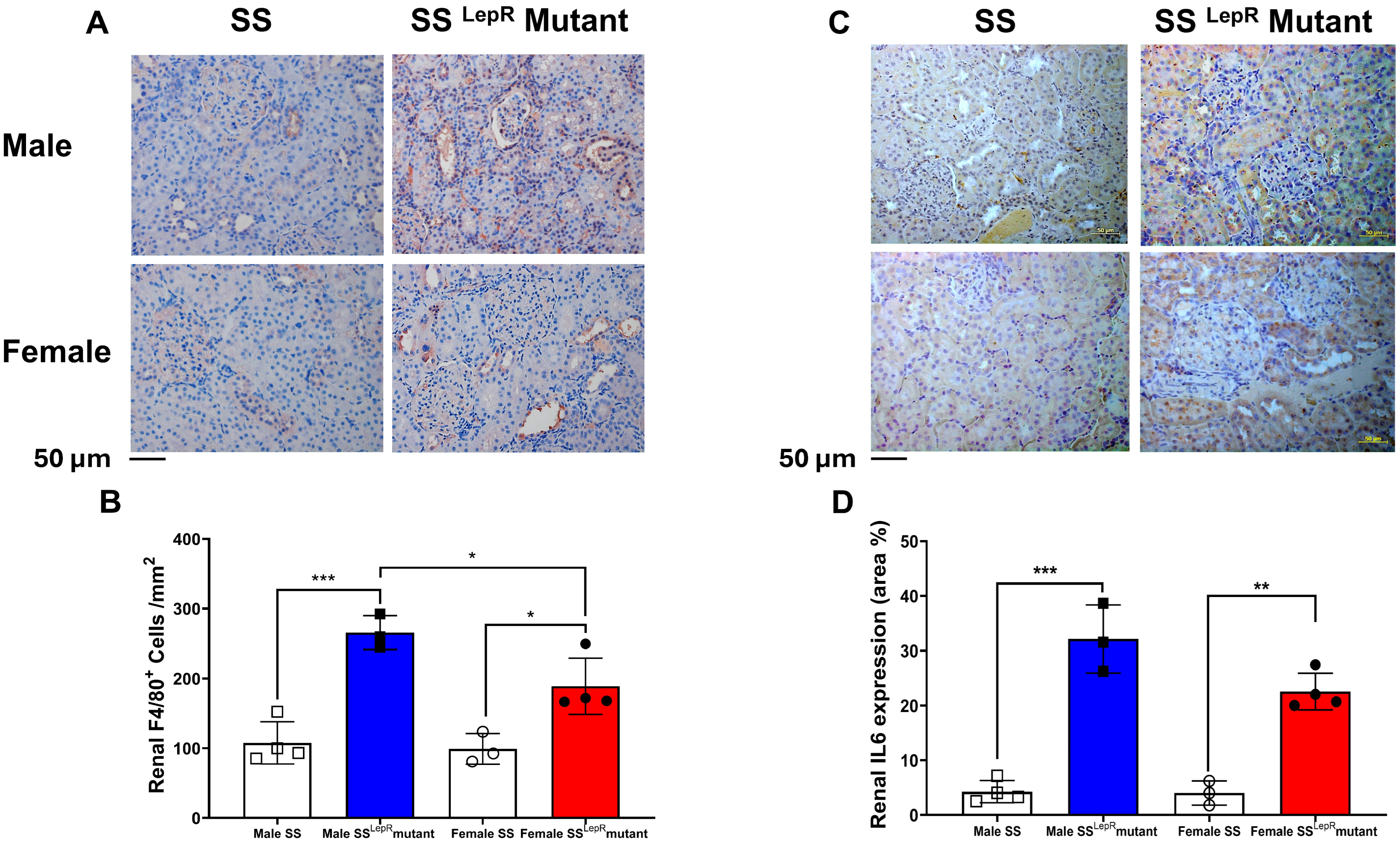 Biomedicines 13 03105 g005 Biomedicines 13 03105 g005
