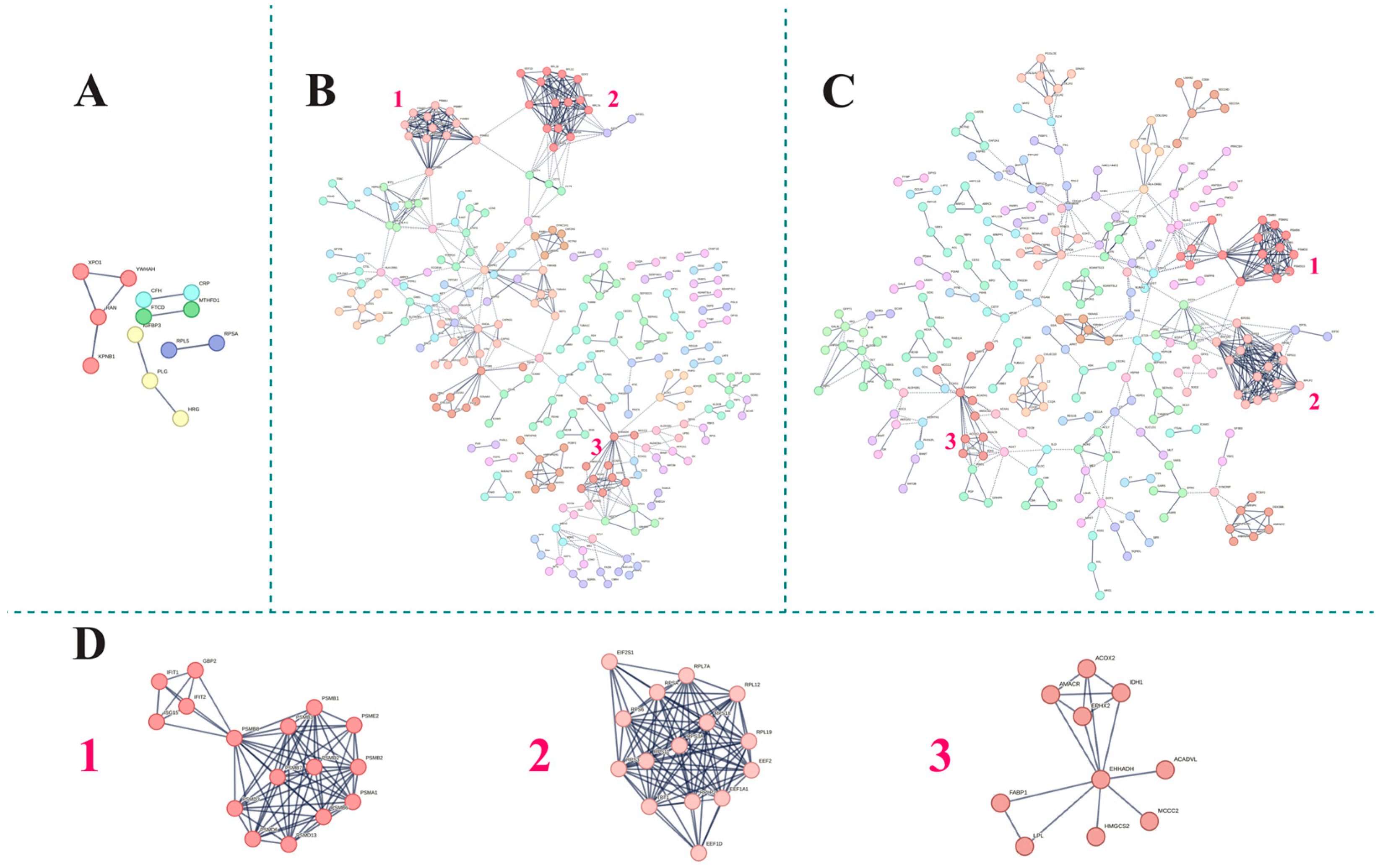 Biomedicines 13 03113 g003 Biomedicines 13 03113 g003