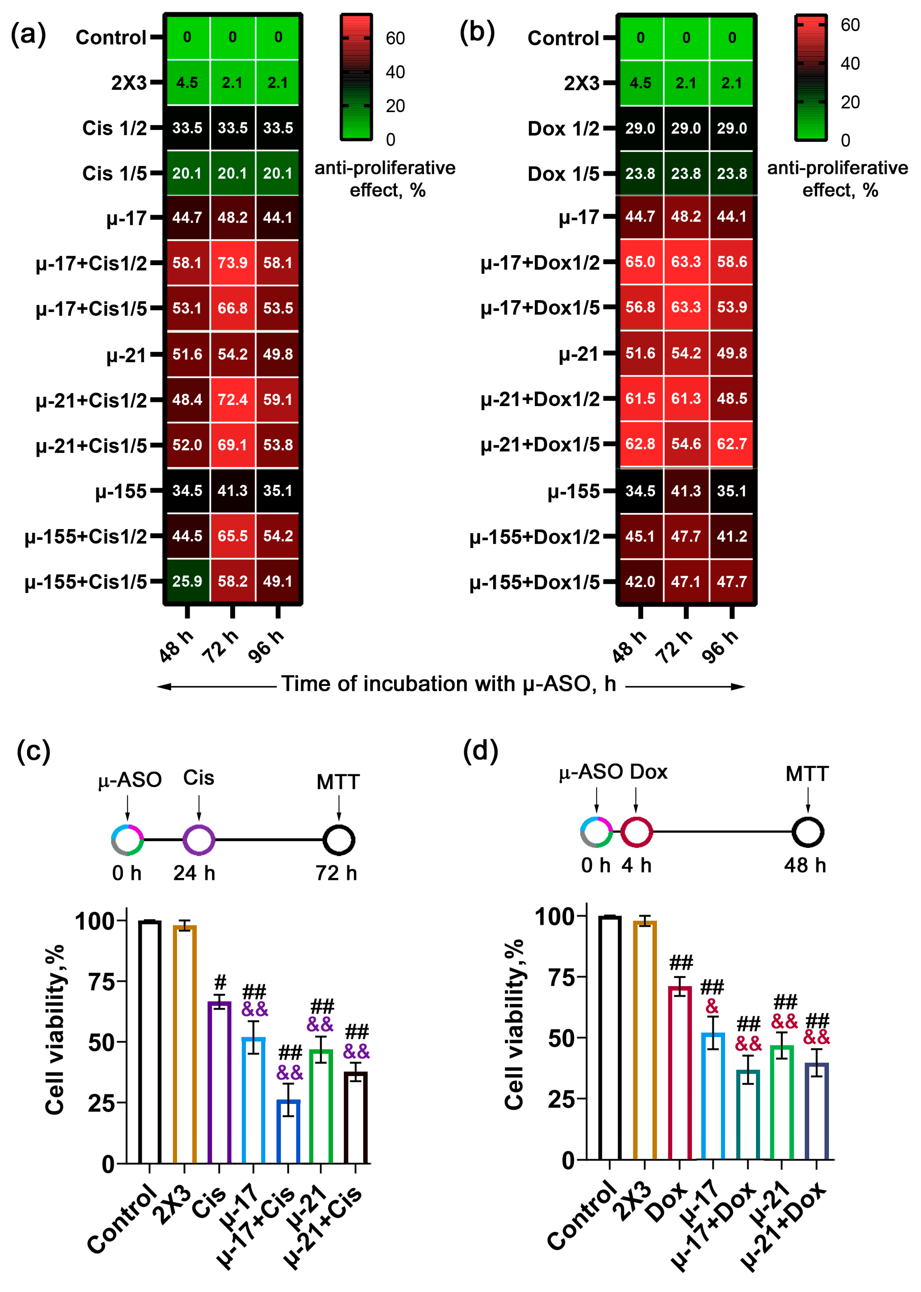 Biomedicines 13 03118 g001 Biomedicines 13 03118 g001