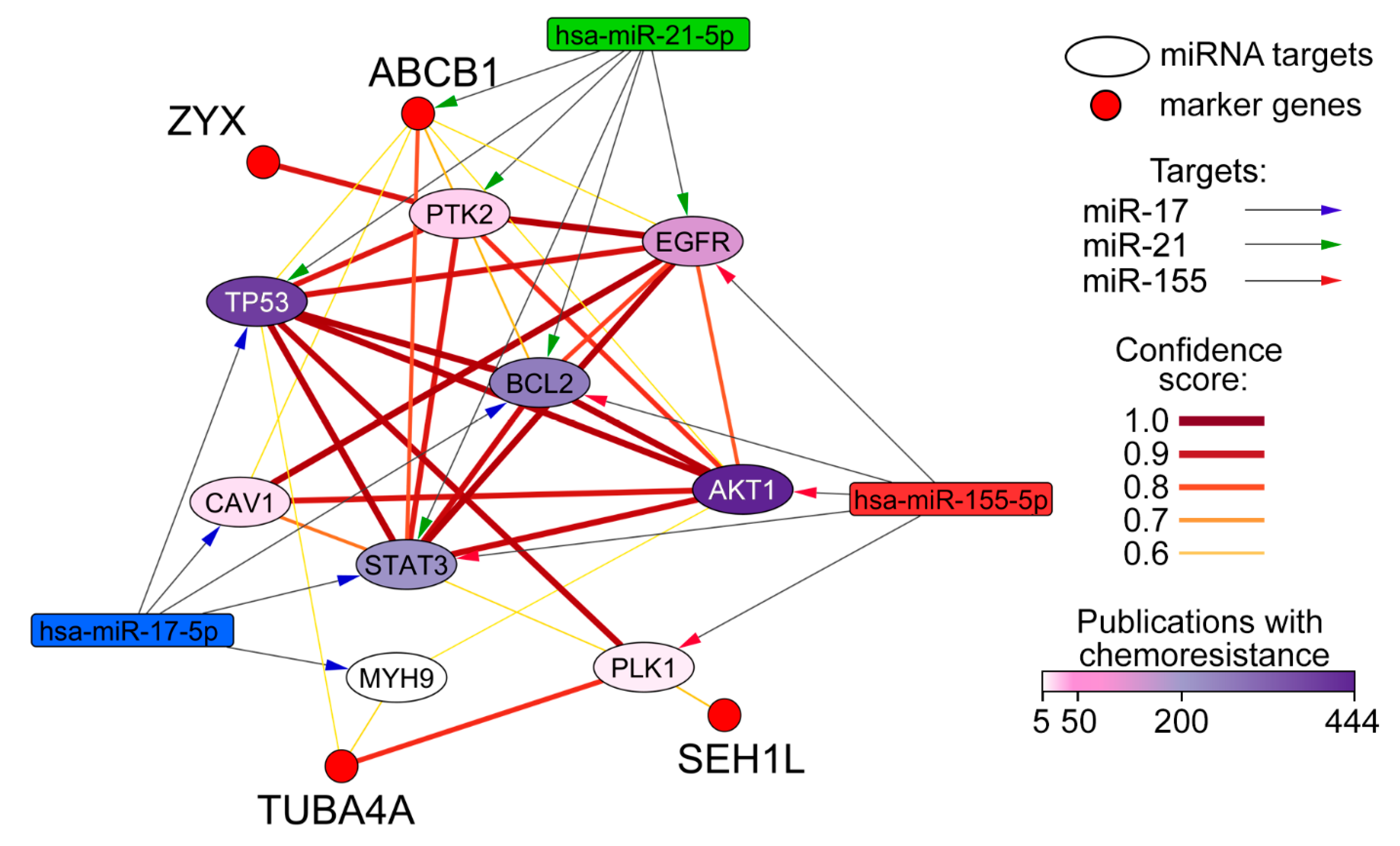 Biomedicines 13 03118 g005 Biomedicines 13 03118 g005