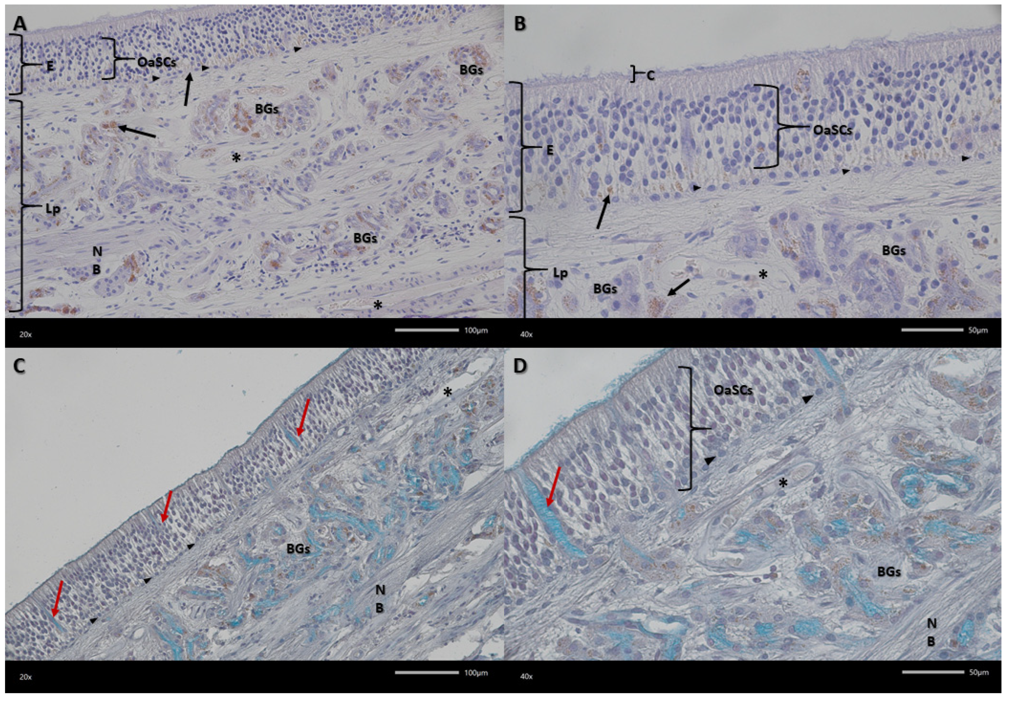 Biomedicines 13 03120 g004