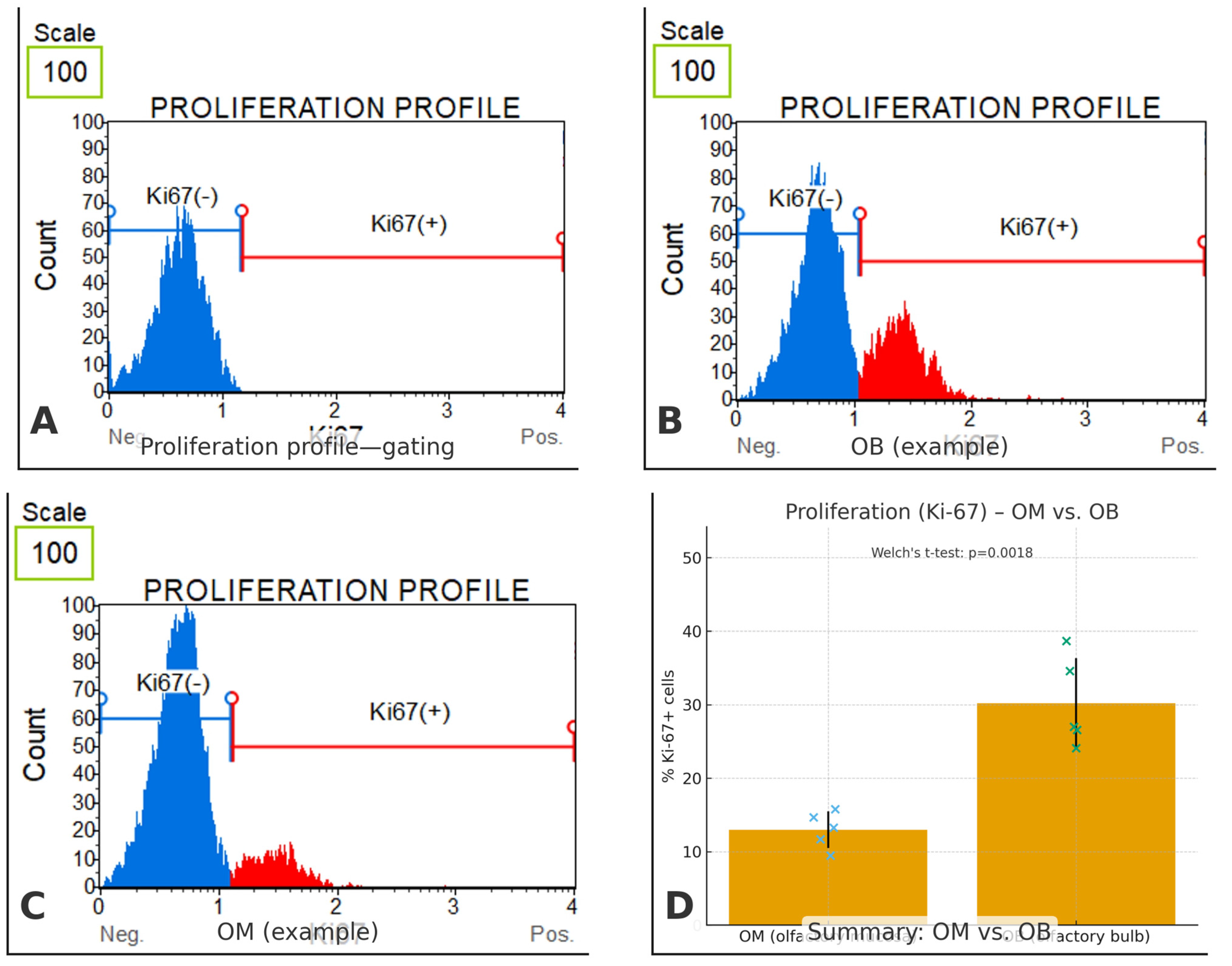 Biomedicines 13 03120 g008