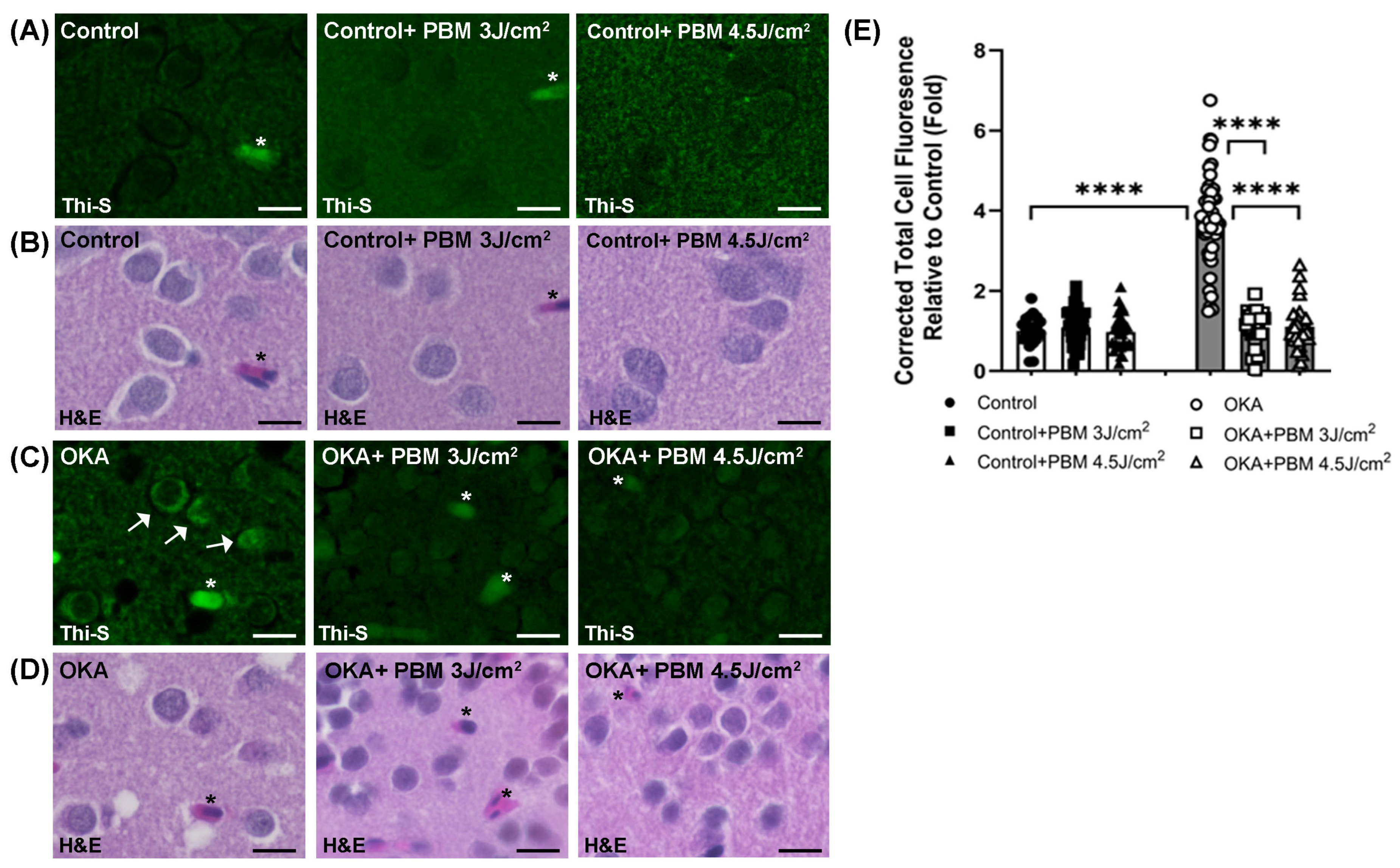 Biomedicines 13 03121 g003