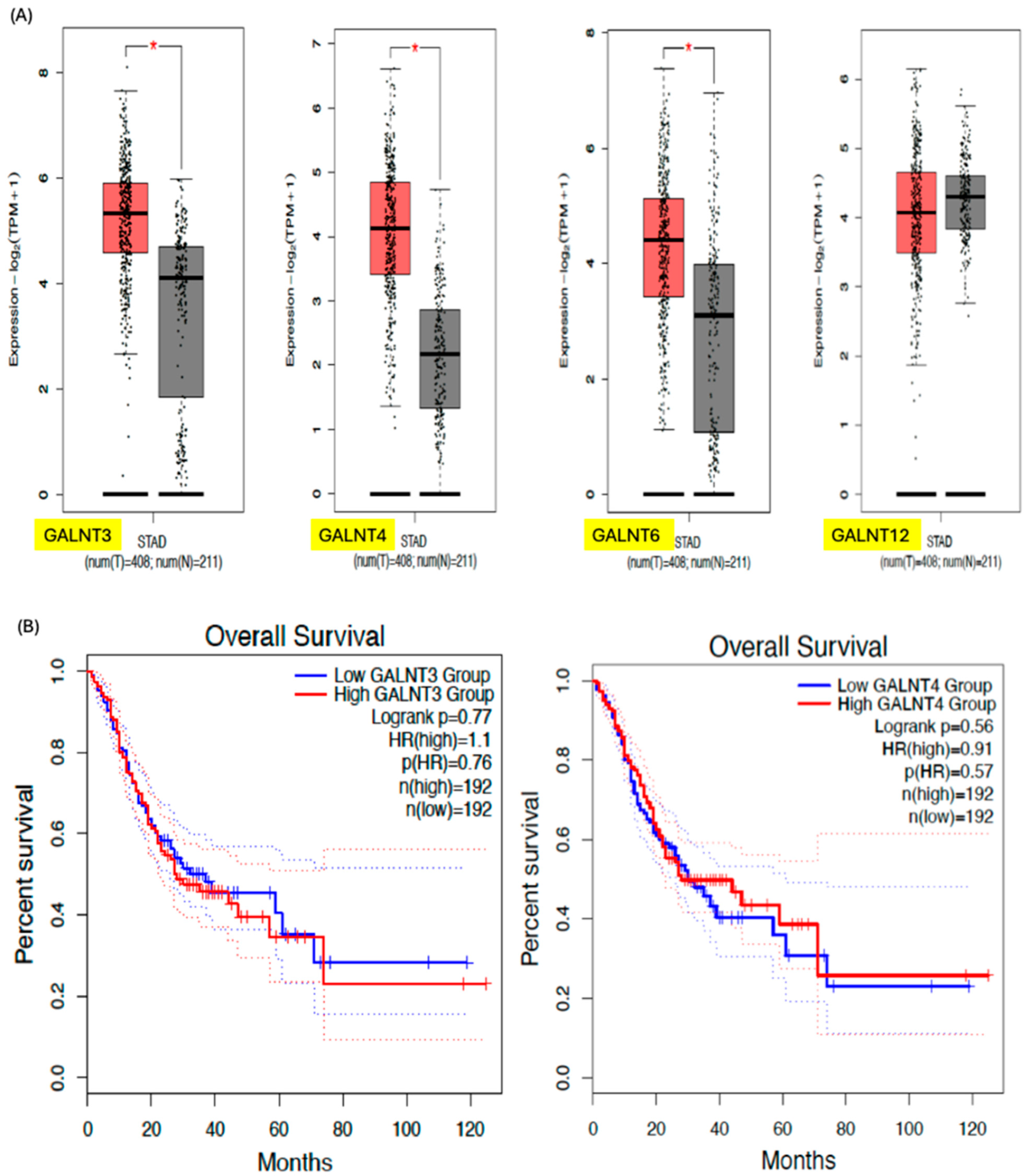 Biomedicines 14 00005 g004