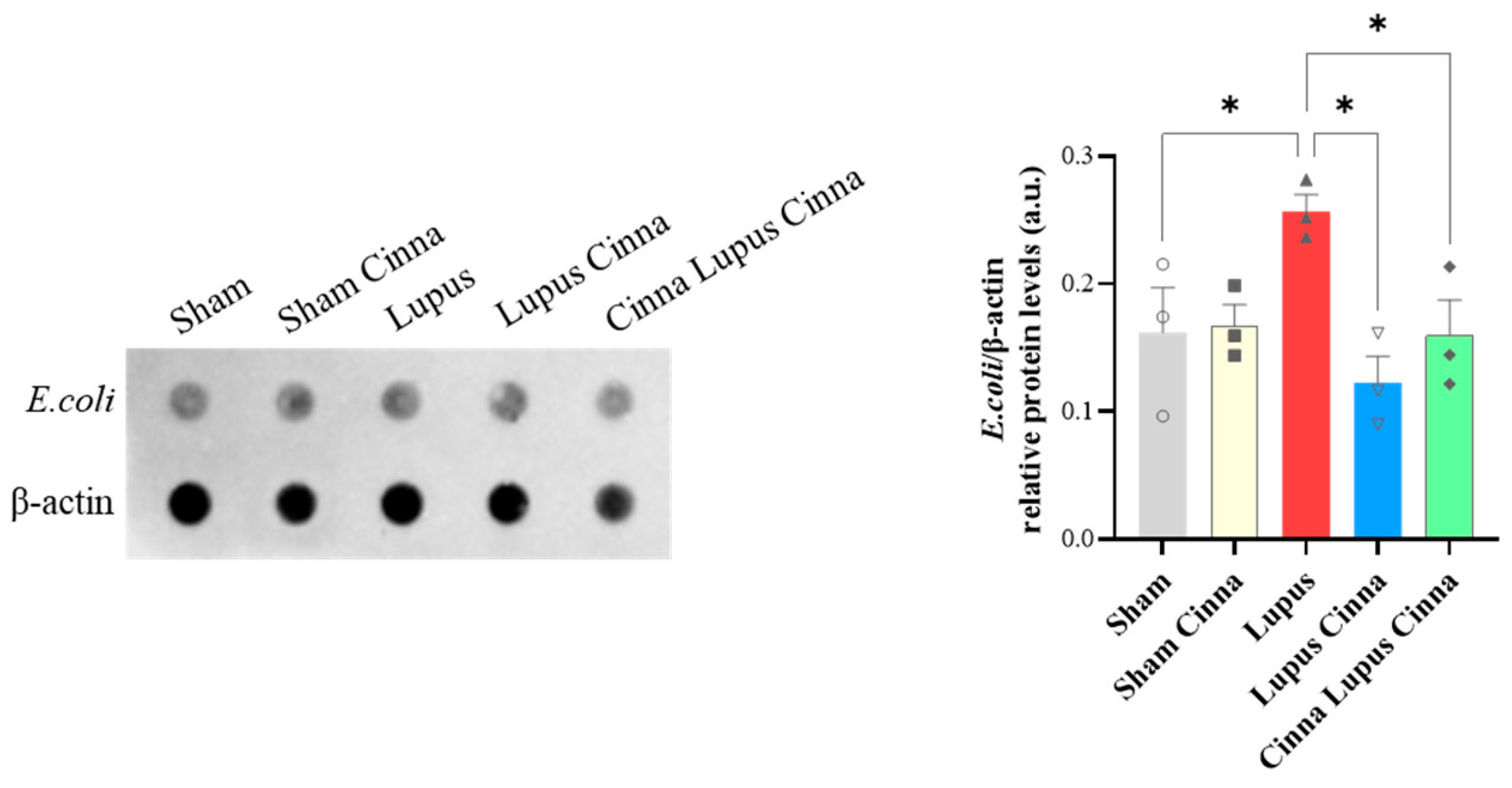 Biomedicines 14 00006 g008