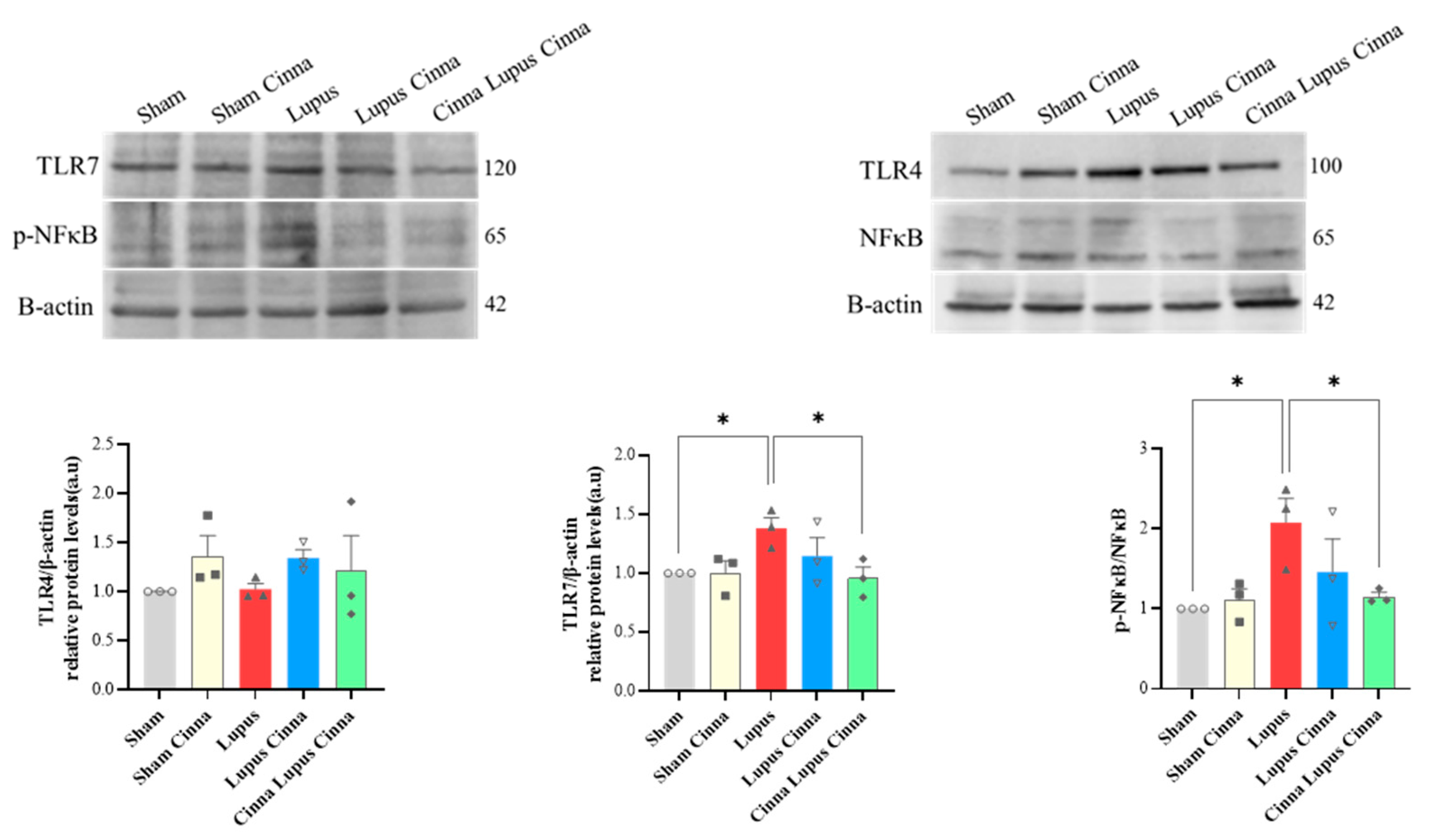 Biomedicines 14 00006 g009