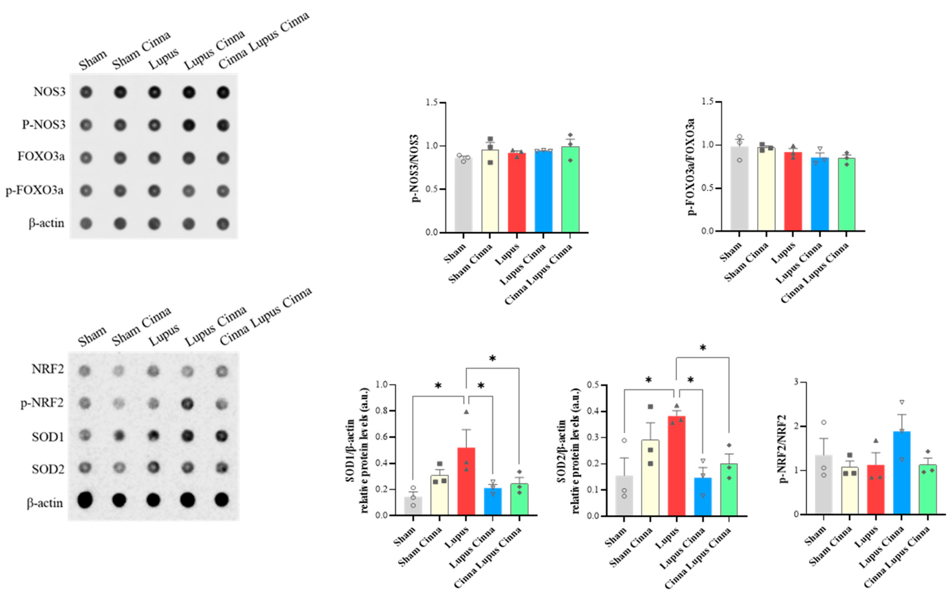 Biomedicines 14 00006 g010