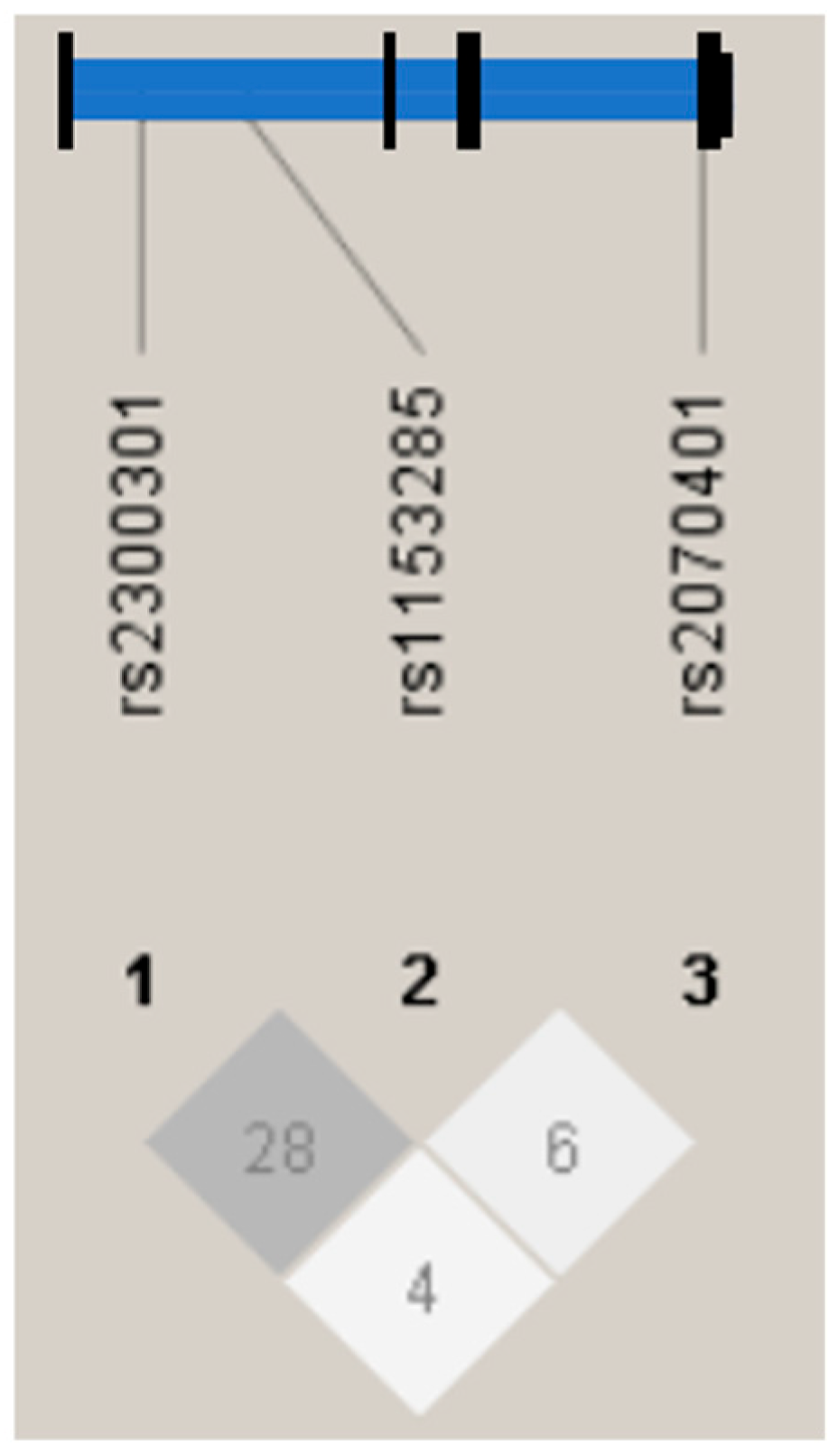 Biomedicines 14 00017 g002
