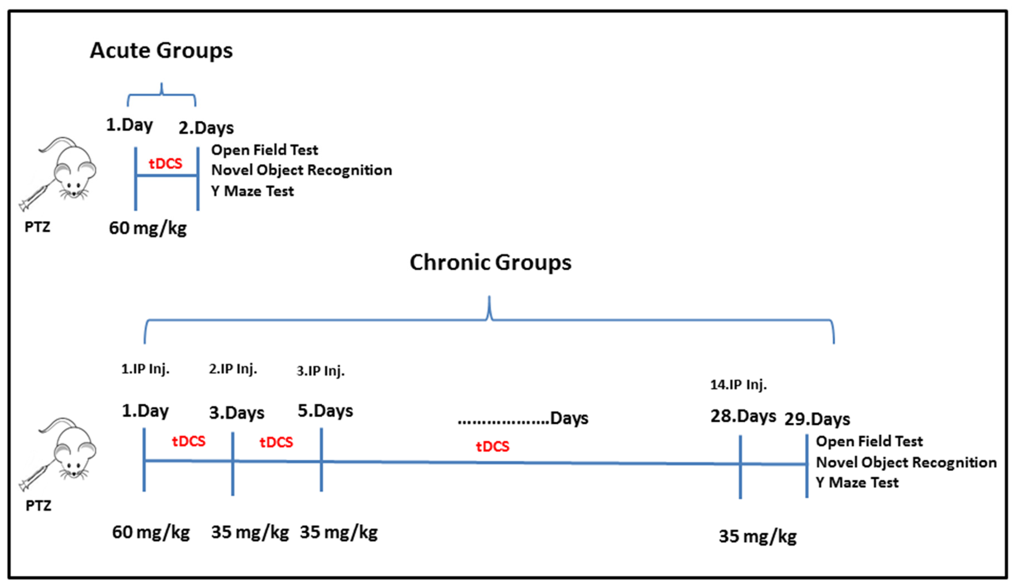 Biomedicines 14 00023 g001