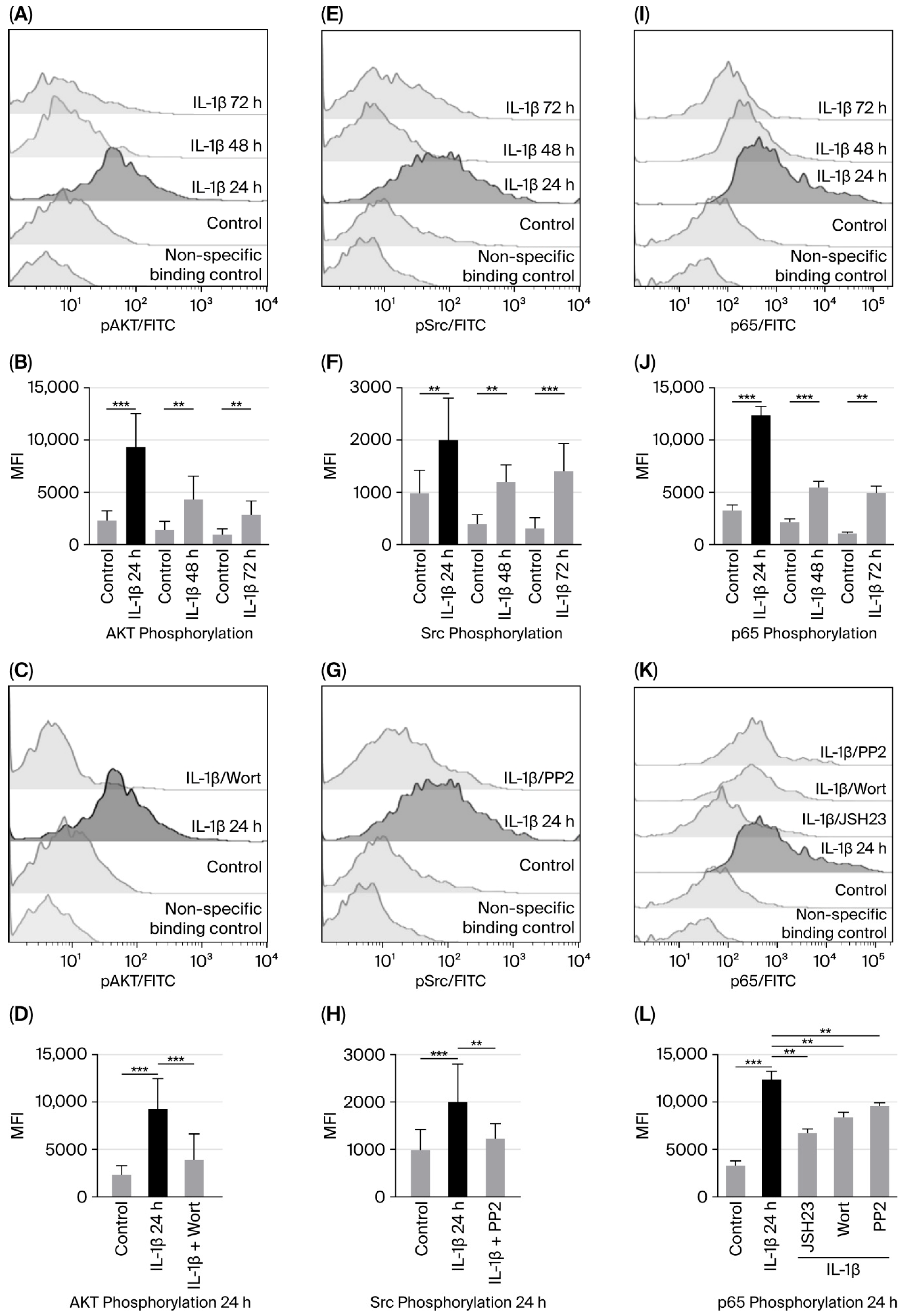 Biomedicines 14 00041 g001