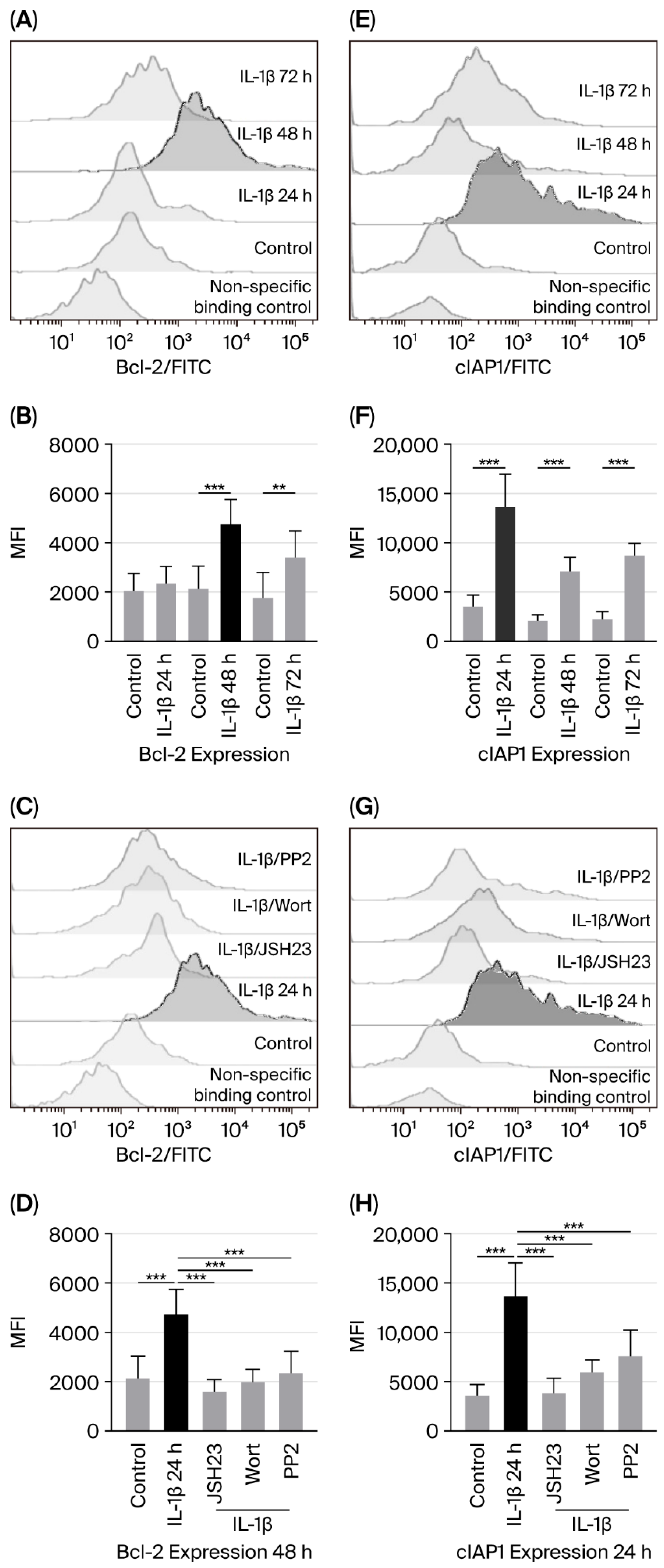 Biomedicines 14 00041 g002