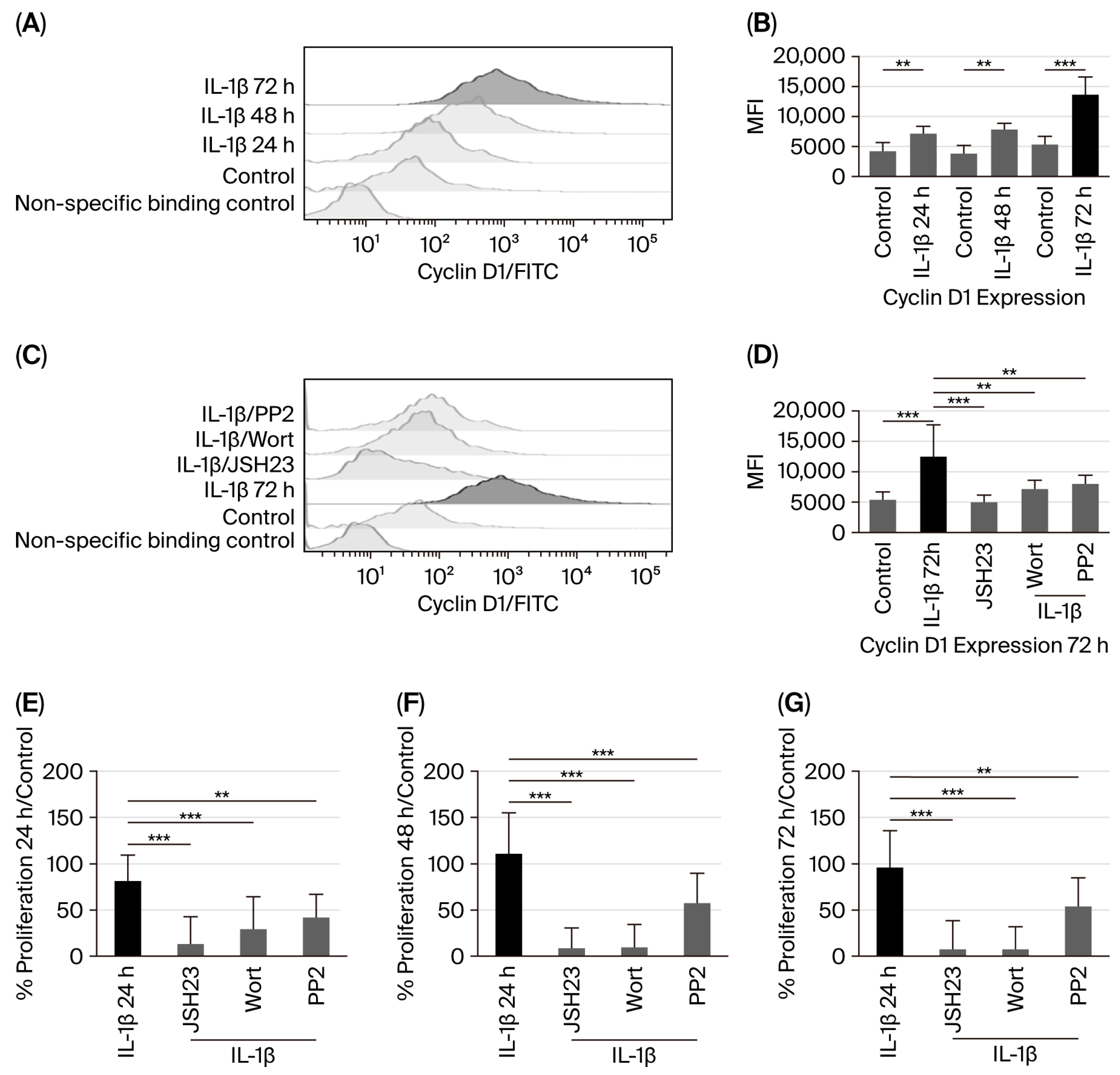 Biomedicines 14 00041 g004