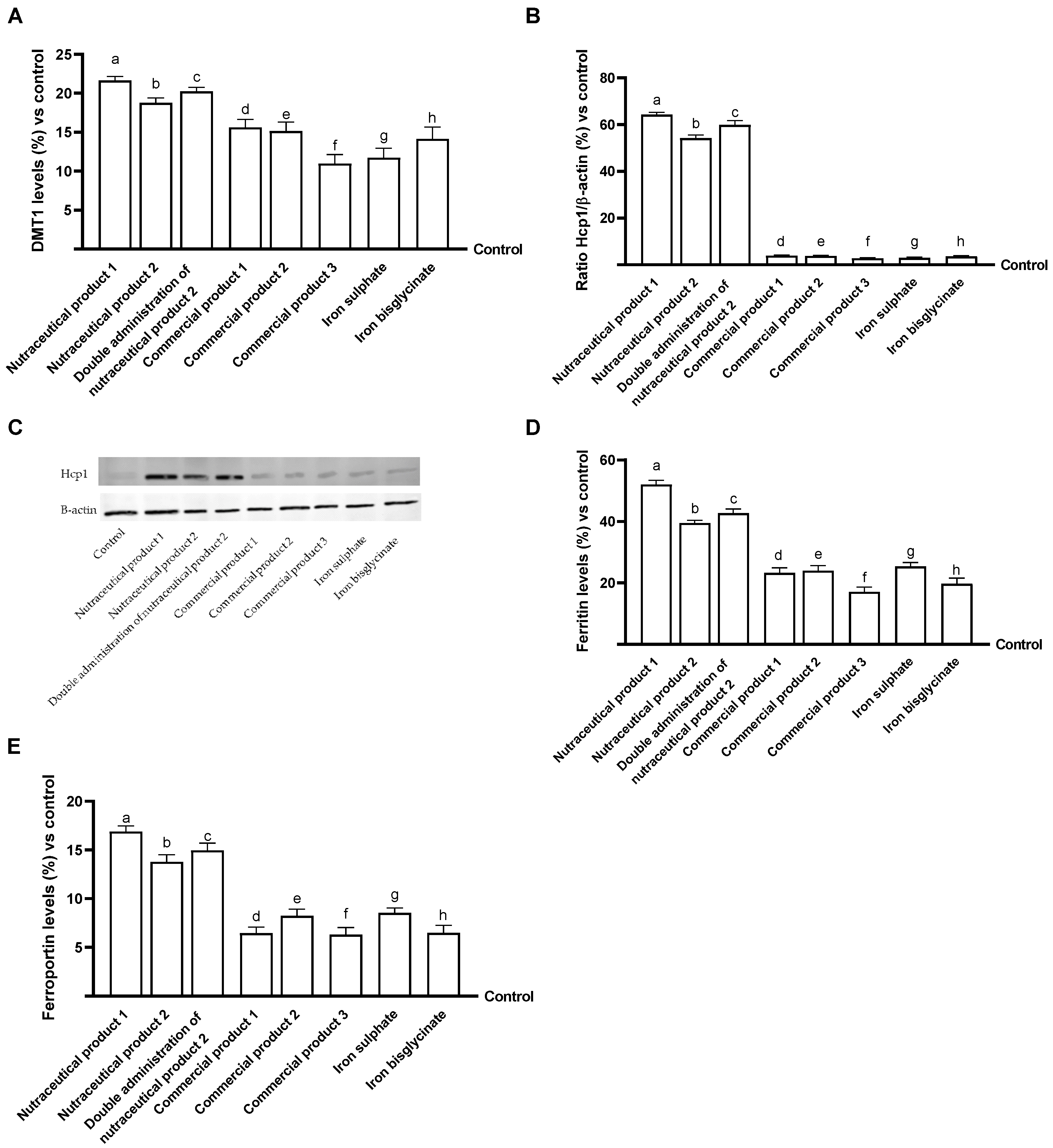 Biomedicines 14 00043 g003