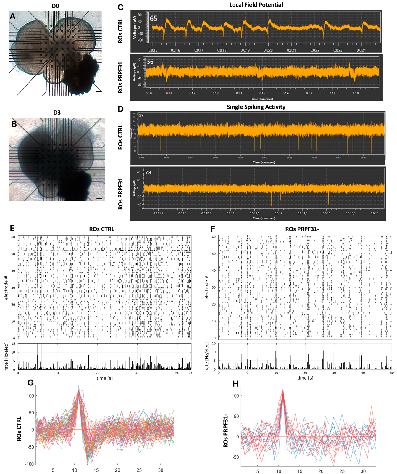Biomedicines 14 00045 g004