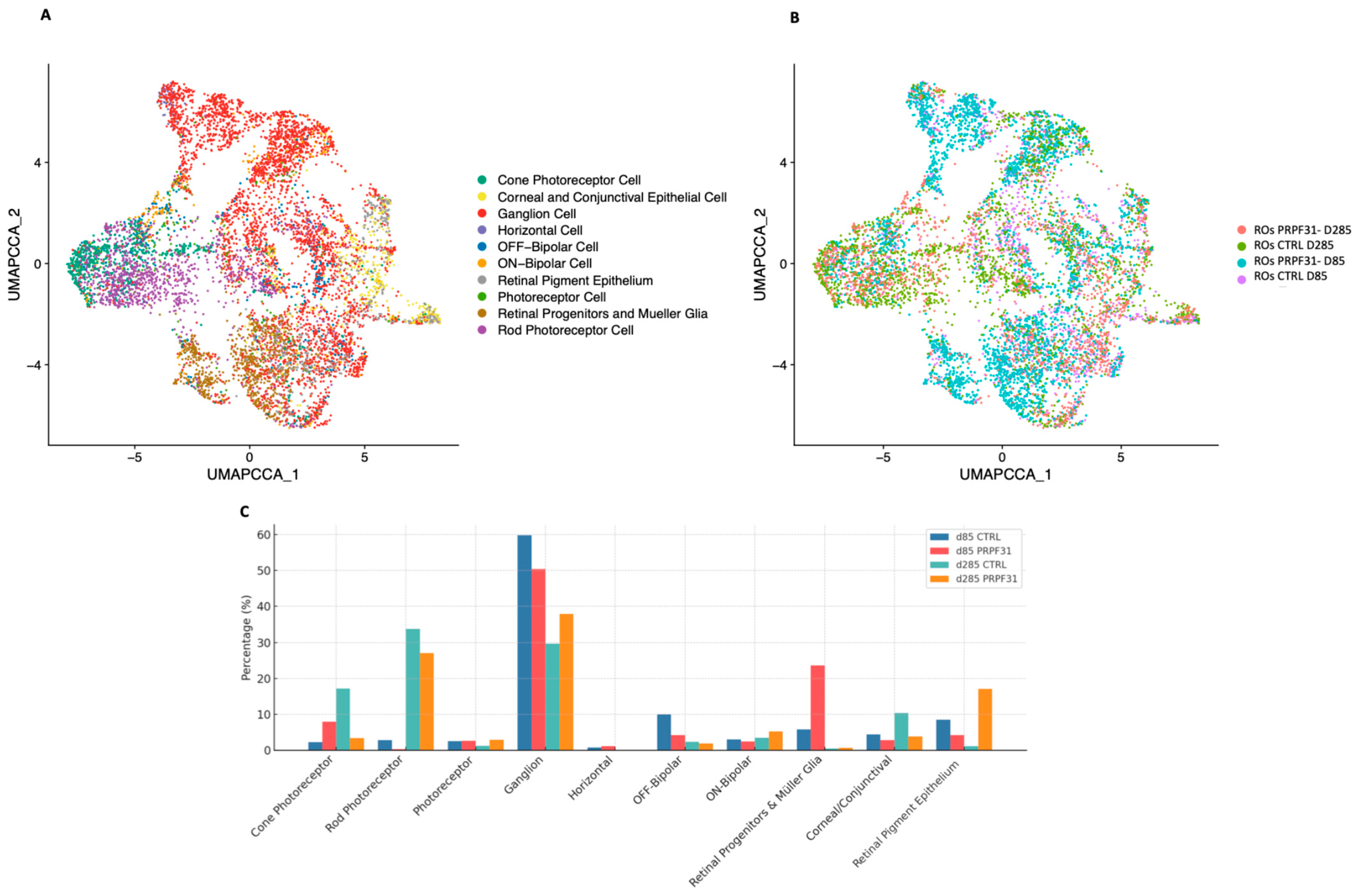 Biomedicines 14 00045 g005