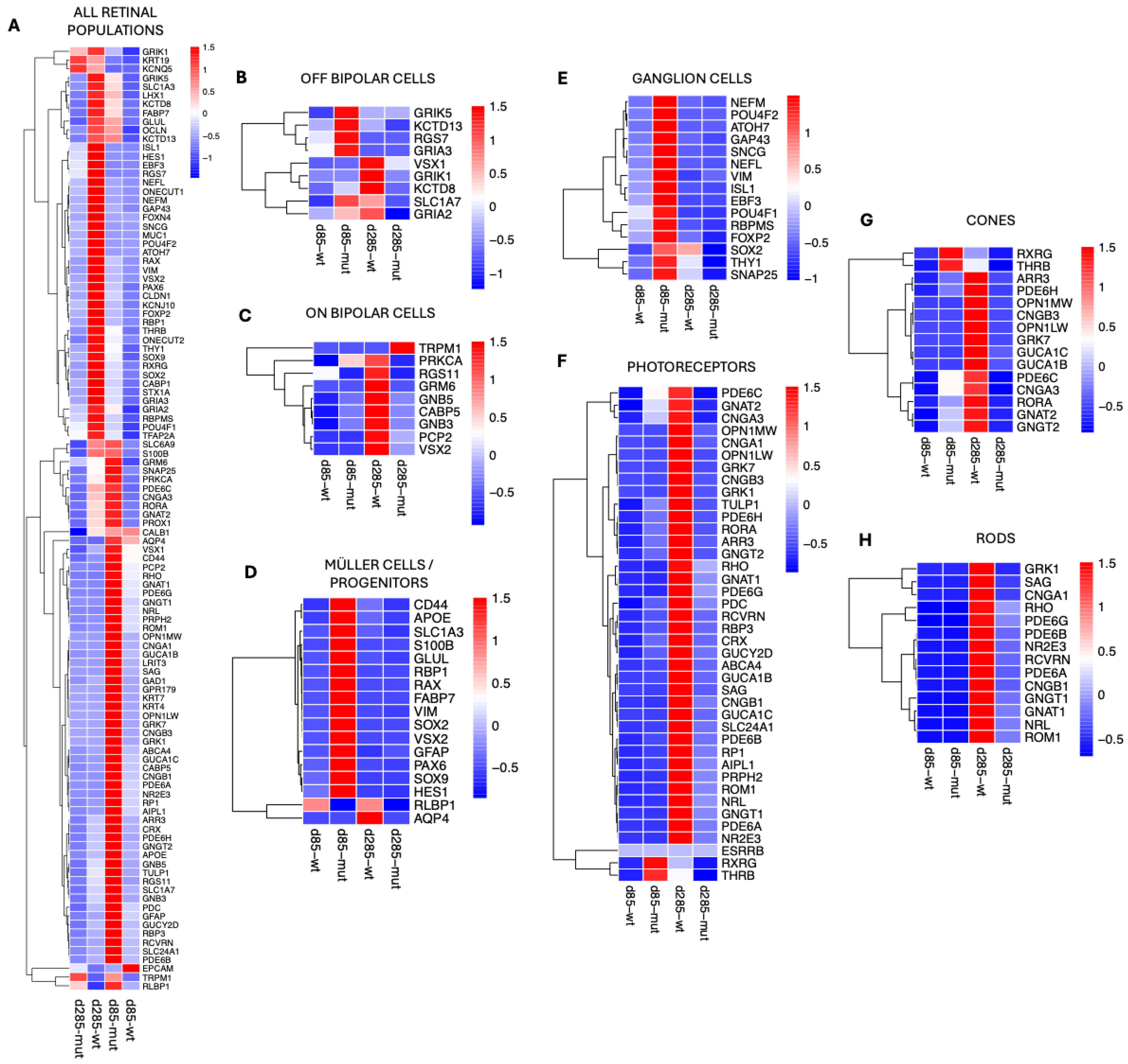 Biomedicines 14 00045 g006
