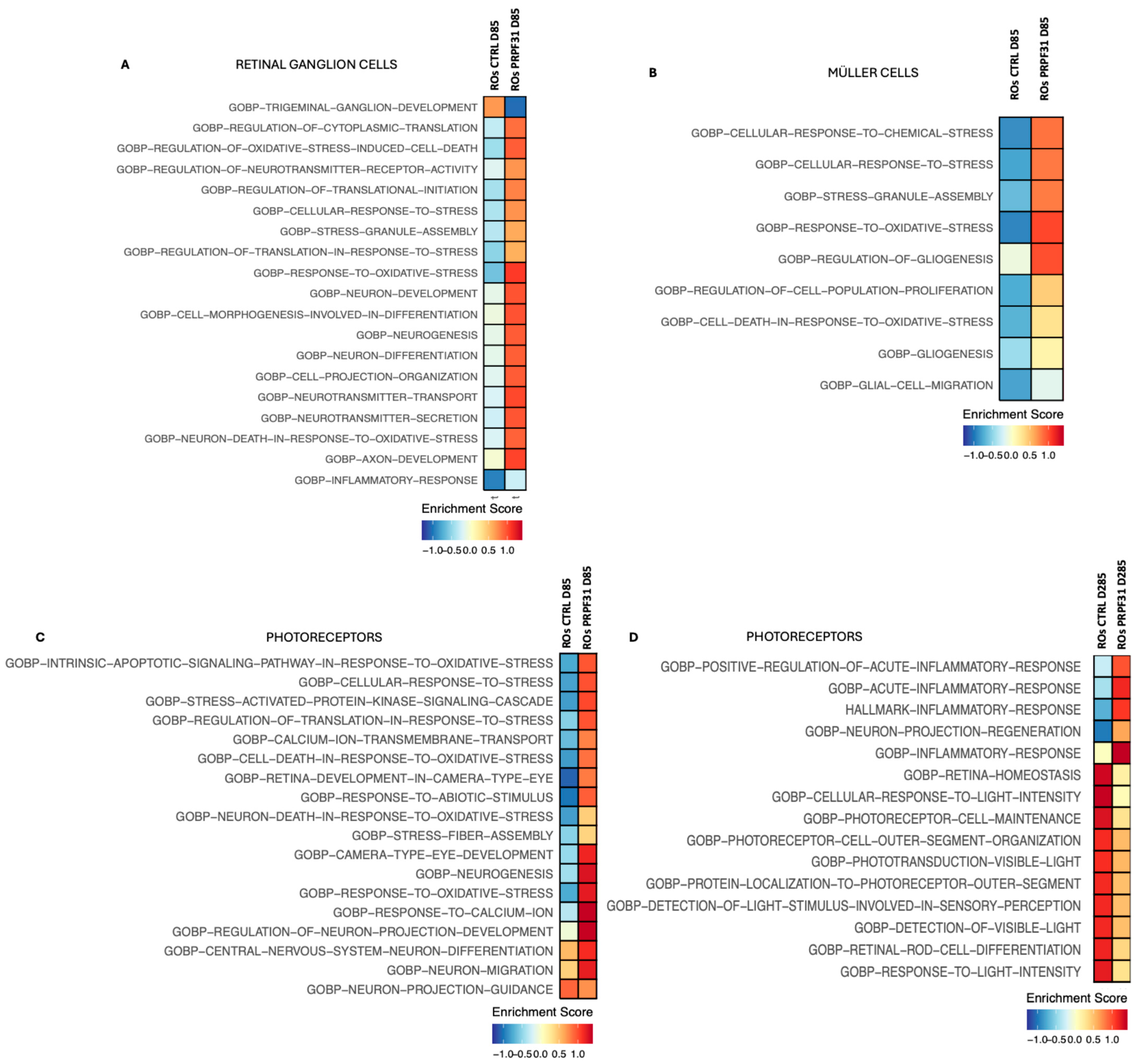 Biomedicines 14 00045 g007