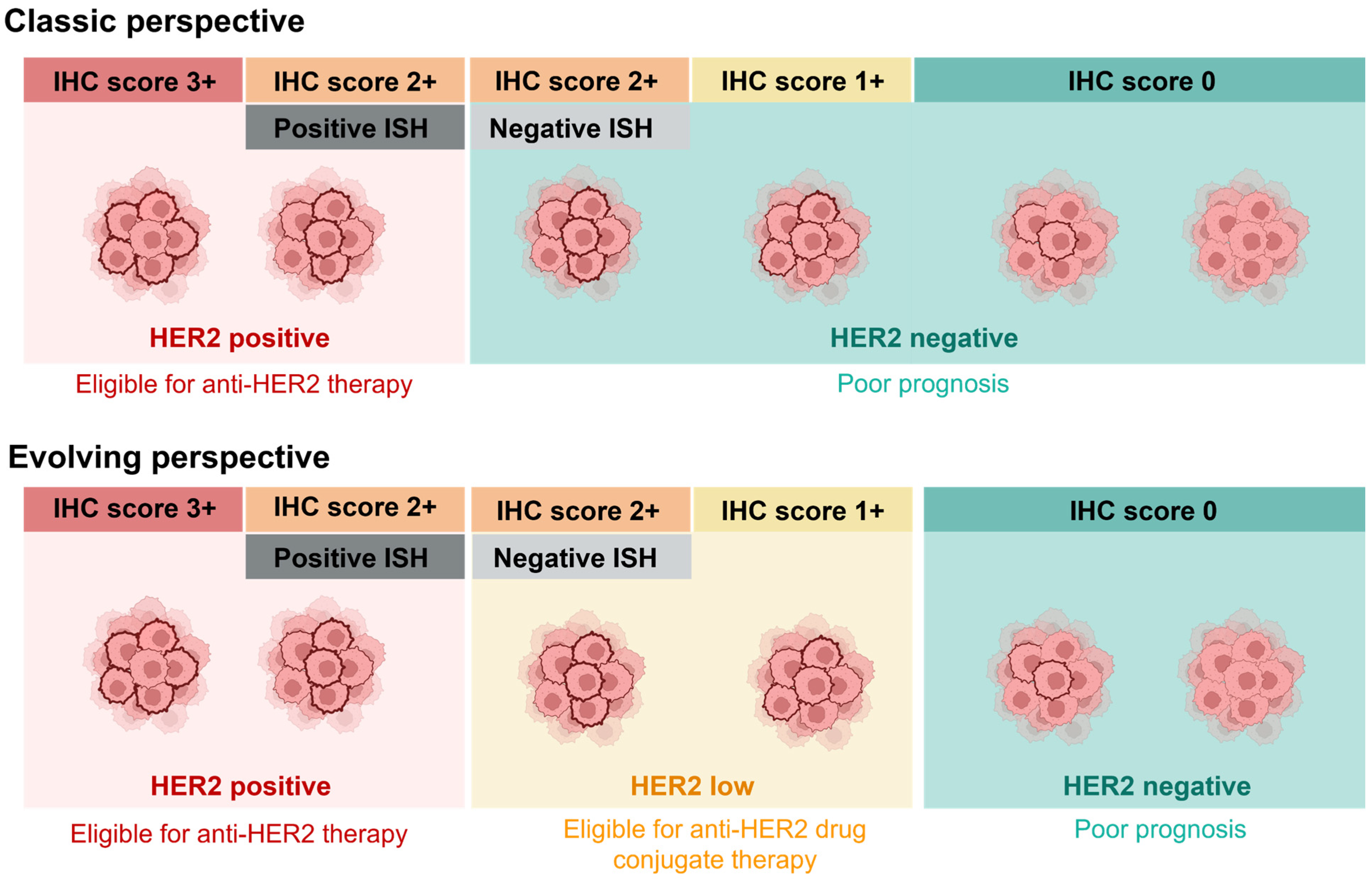 Biomedicines 14 00049 g001