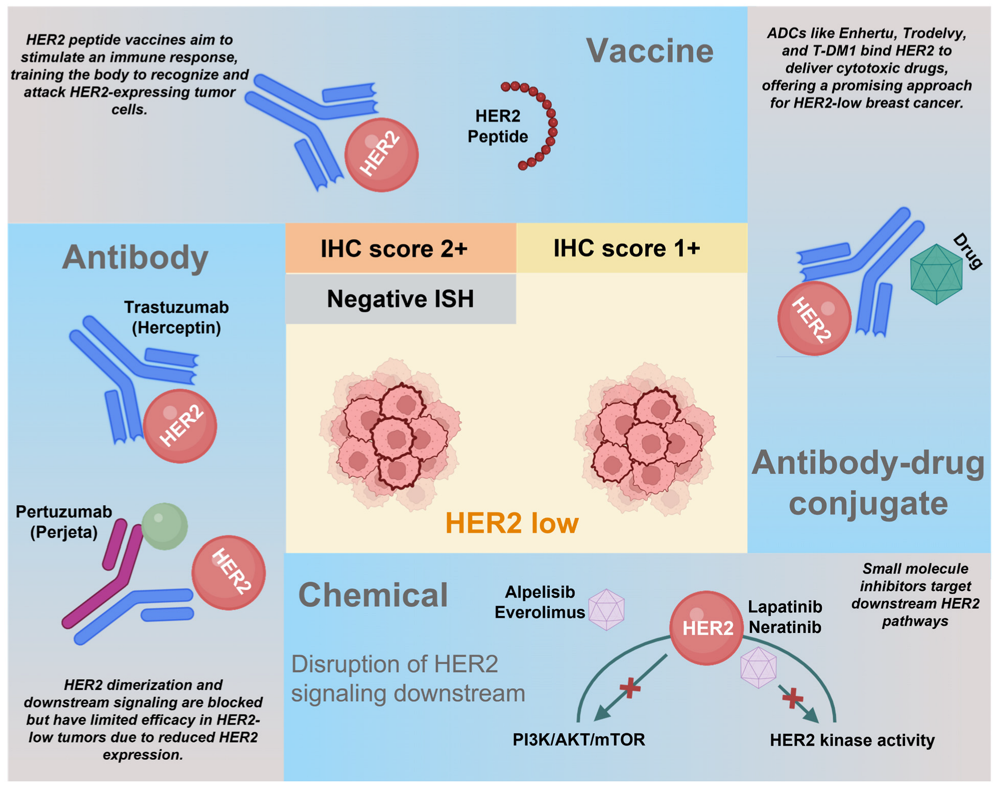 Biomedicines 14 00049 g002